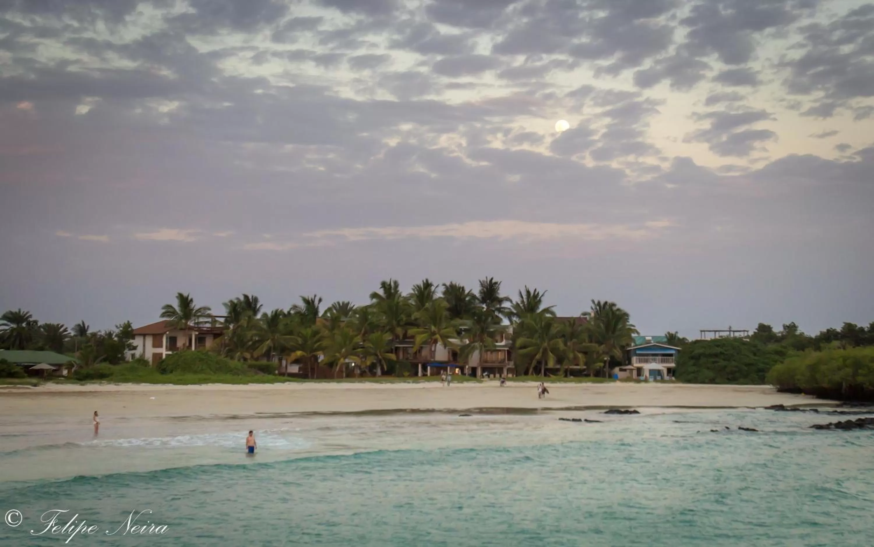 Natural landscape in The Isabela Beach House