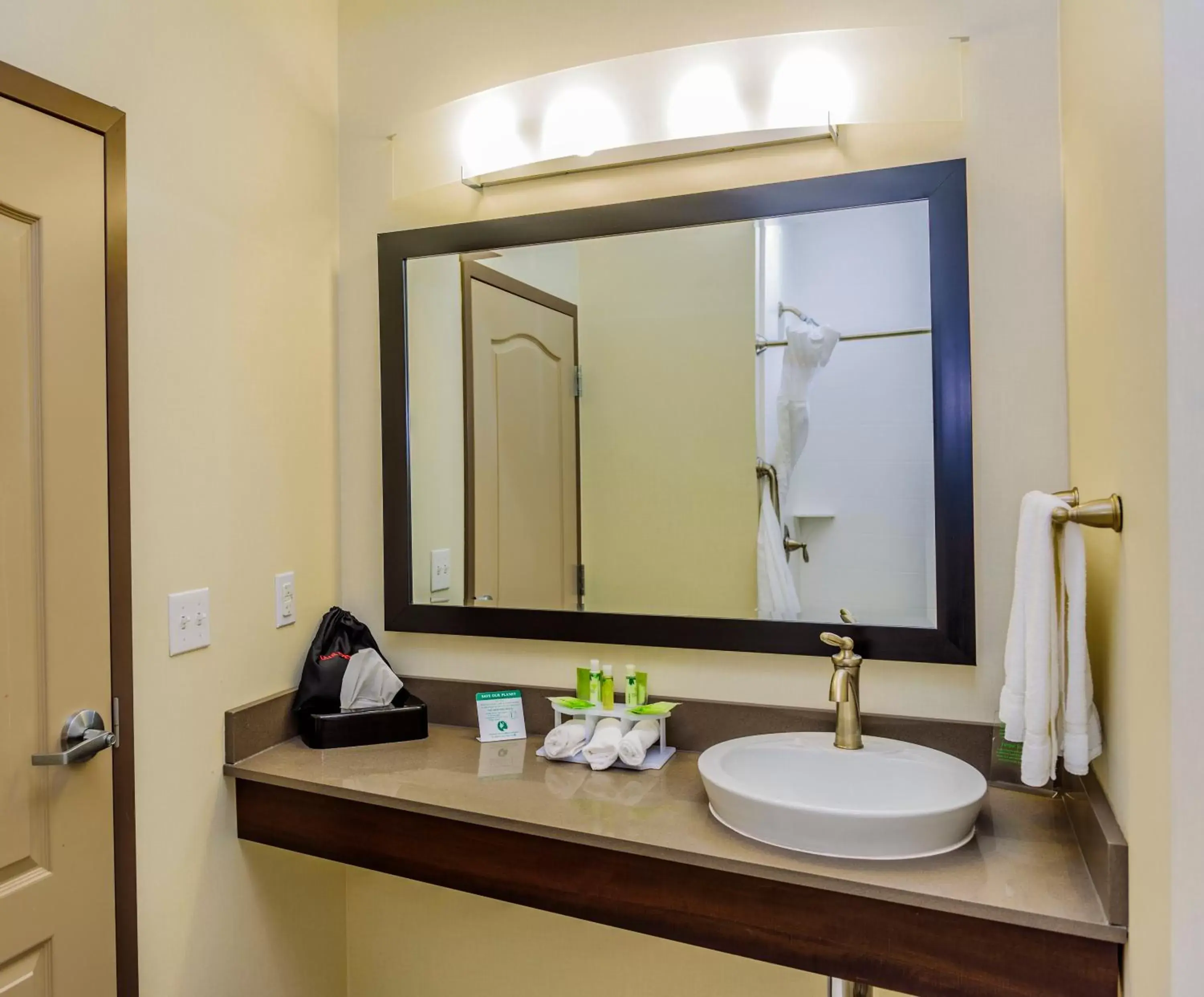 Bathroom in Holiday Inn Express & Suites Cheektowaga North East, an IHG Hotel