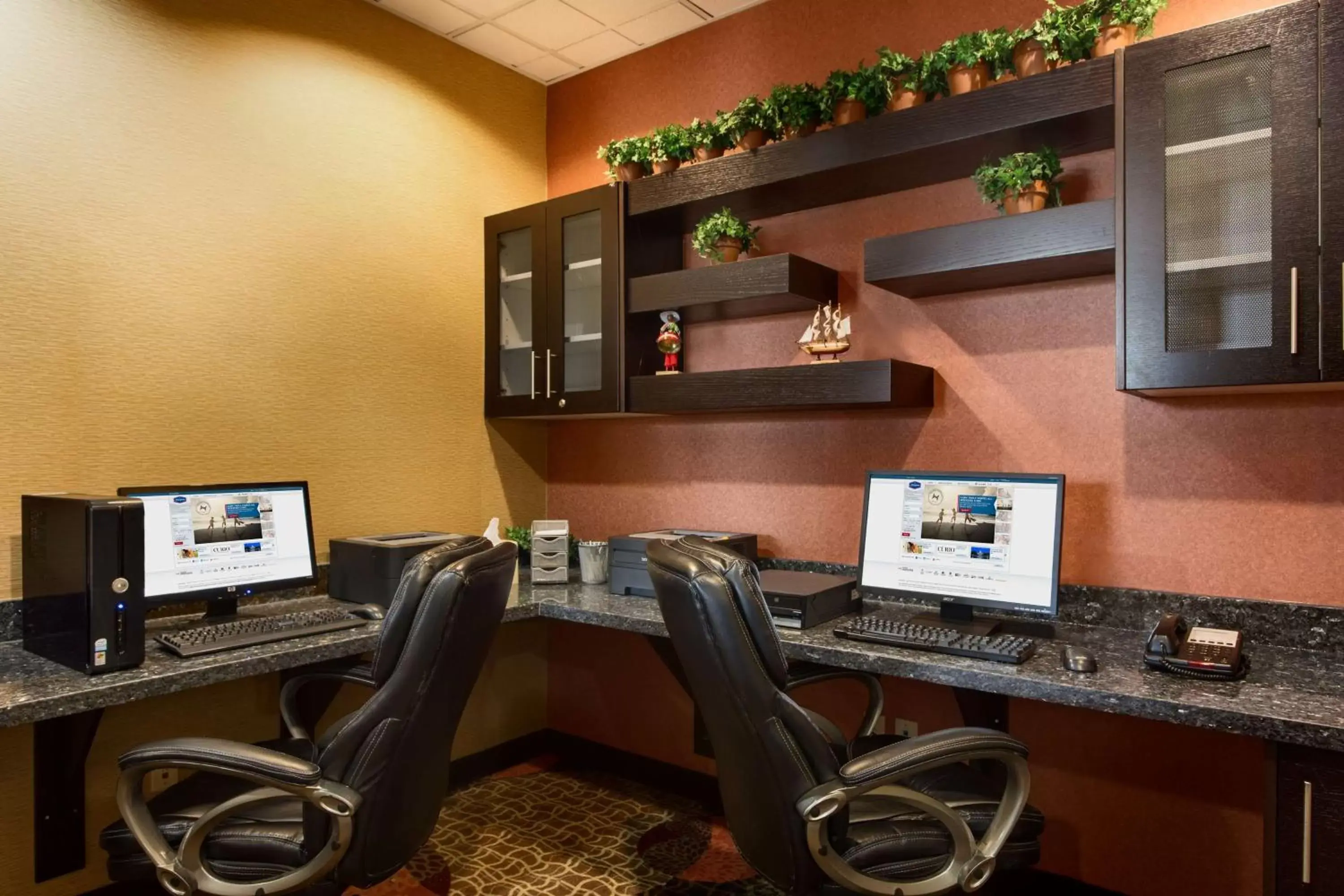 Business facilities in Hampton Inn & Suites Pharr