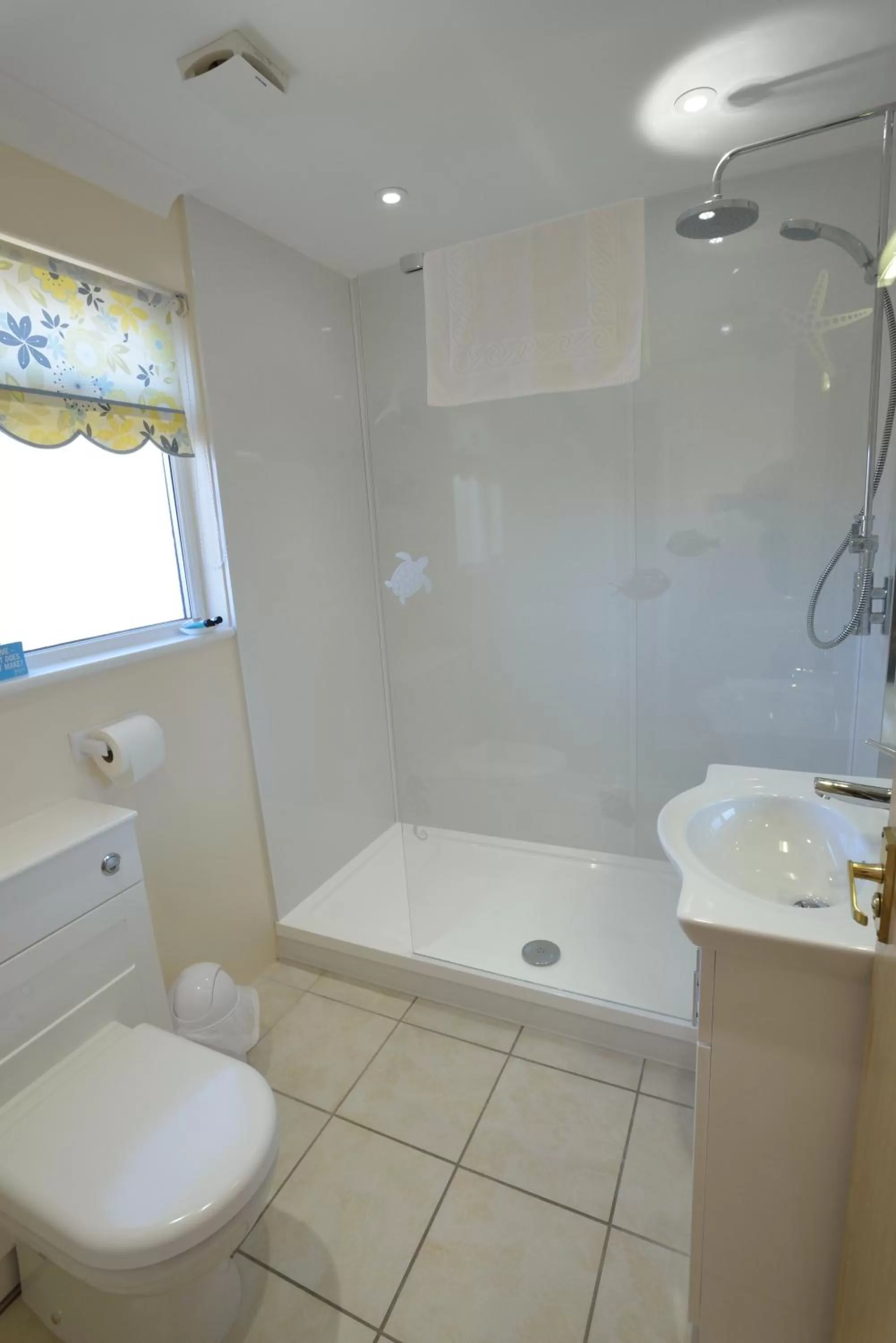 Shower in The Penellen guest accommodation room only