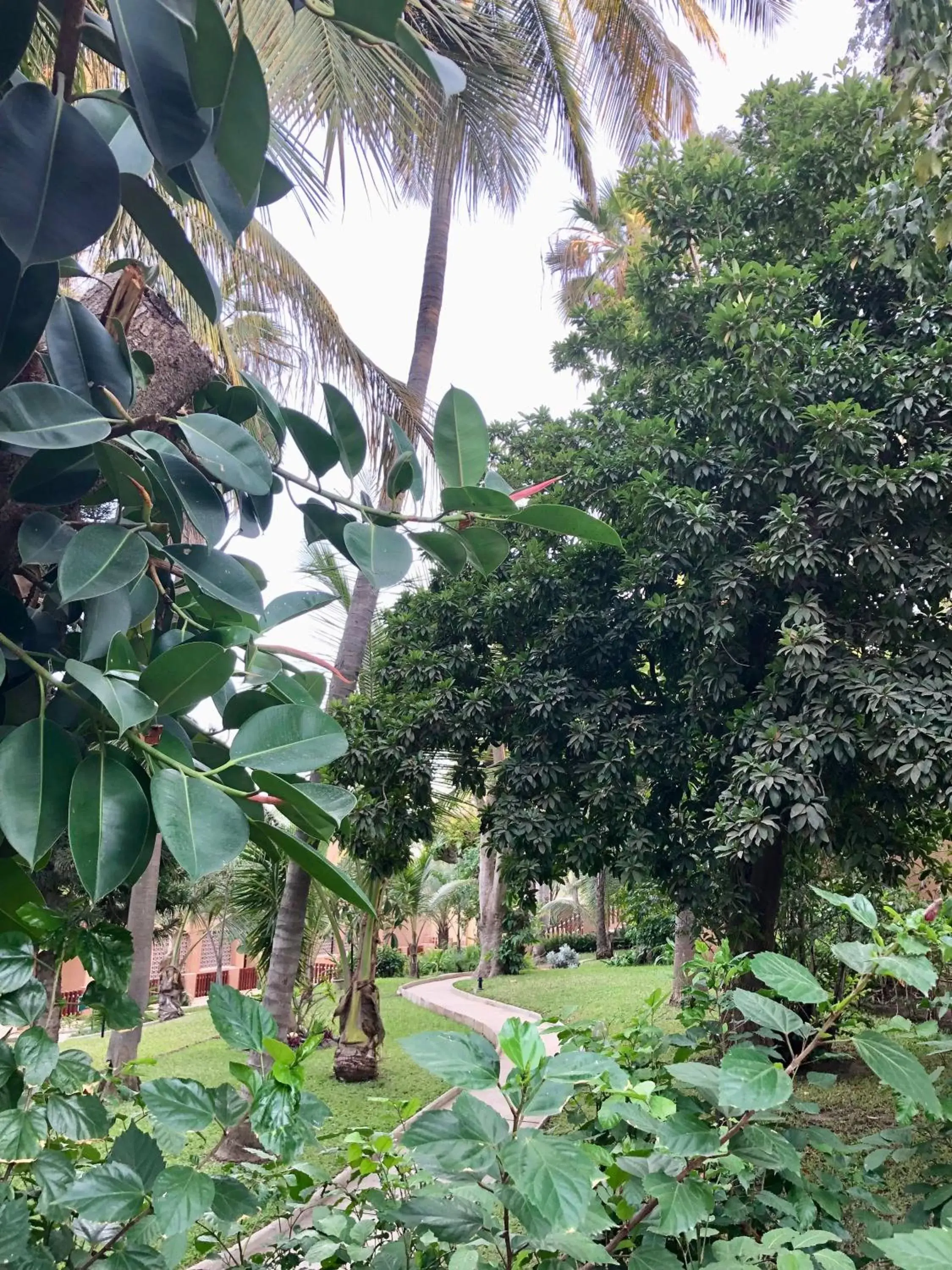 Garden in Hotel Jardin Savana Dakar