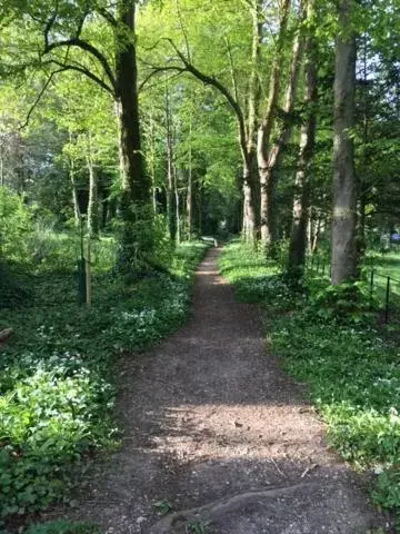 Natural landscape, Garden in Home Farm House