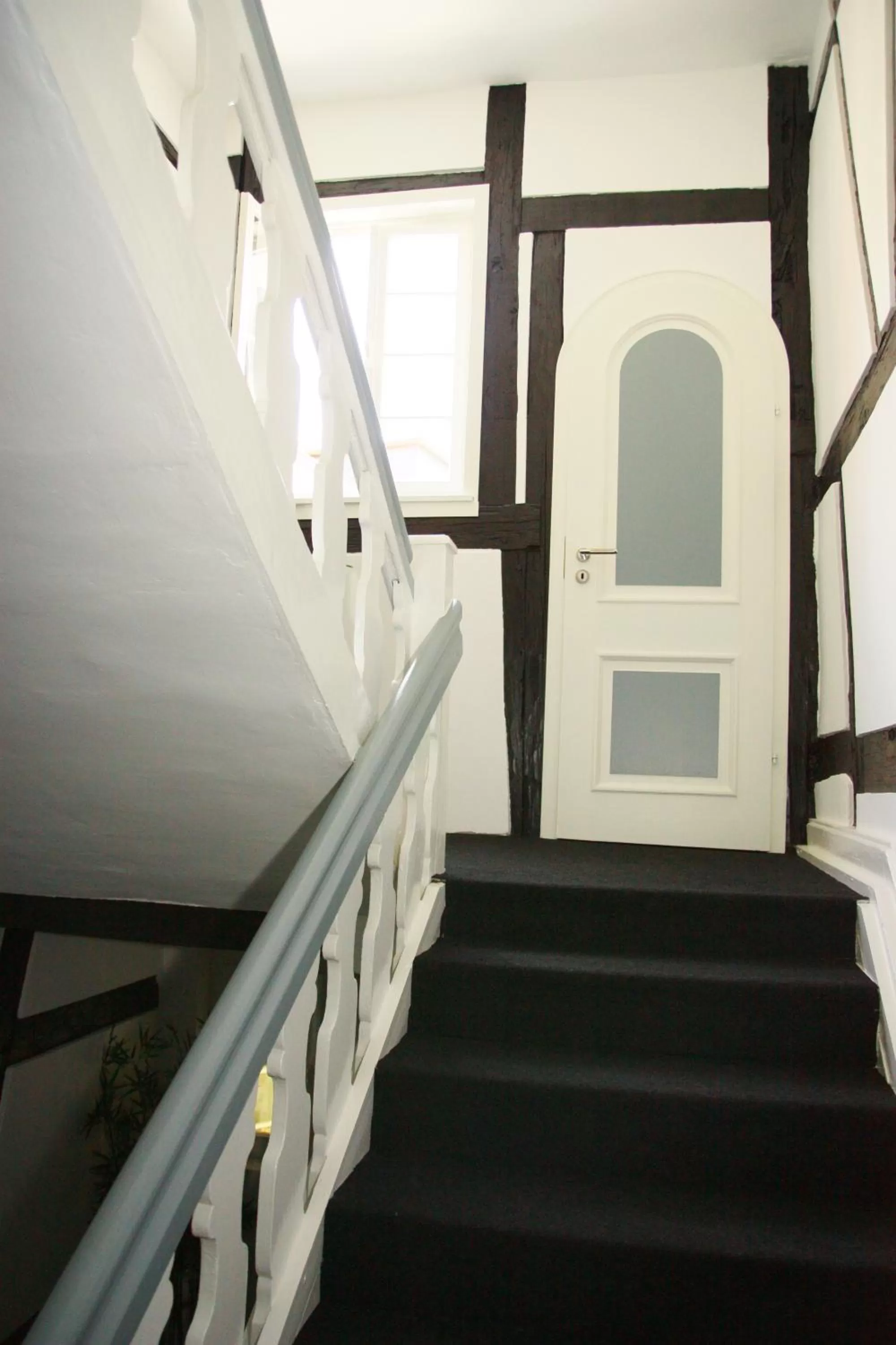 Area and facilities in Hotel am Schloss