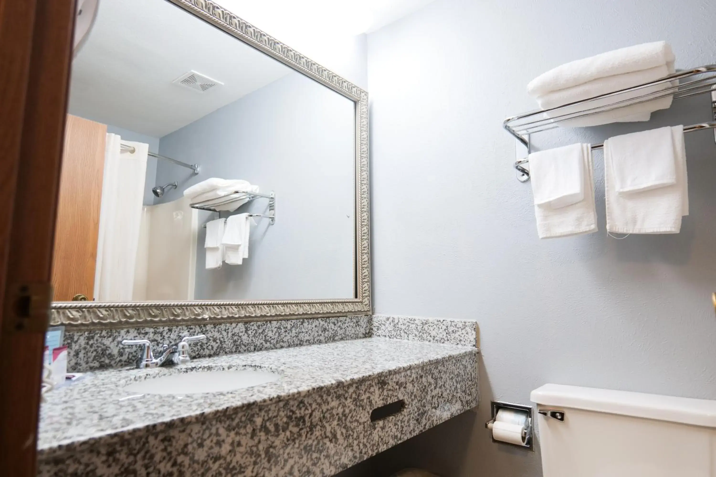 Bathroom in Baymont by Wyndham Flint Airport North