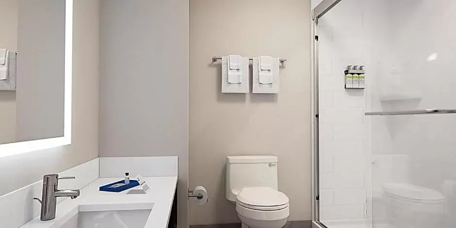 Bathroom in Holiday Inn Express & Suites - Lumberton, an IHG Hotel