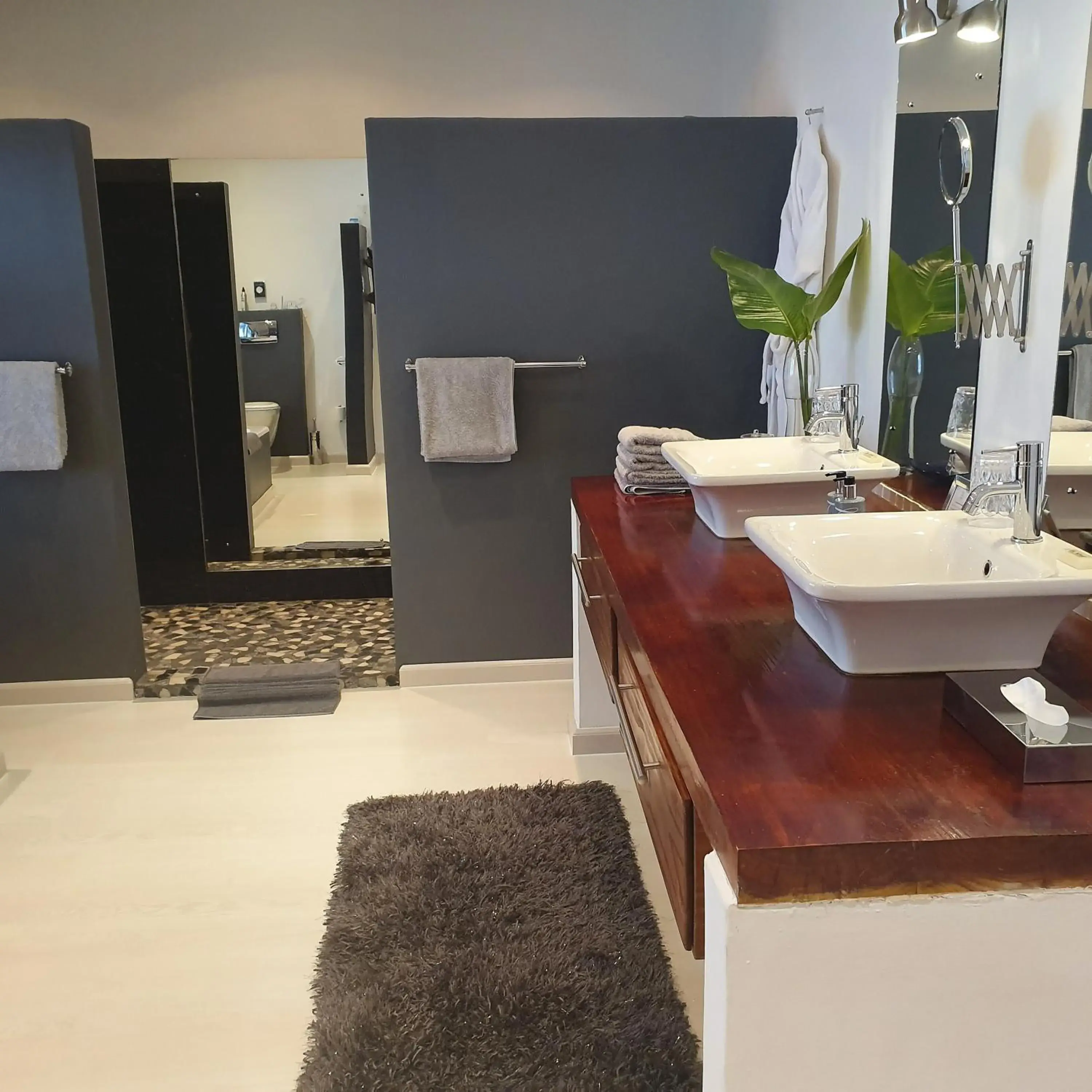 Bathroom in De Kloof Luxury Estate