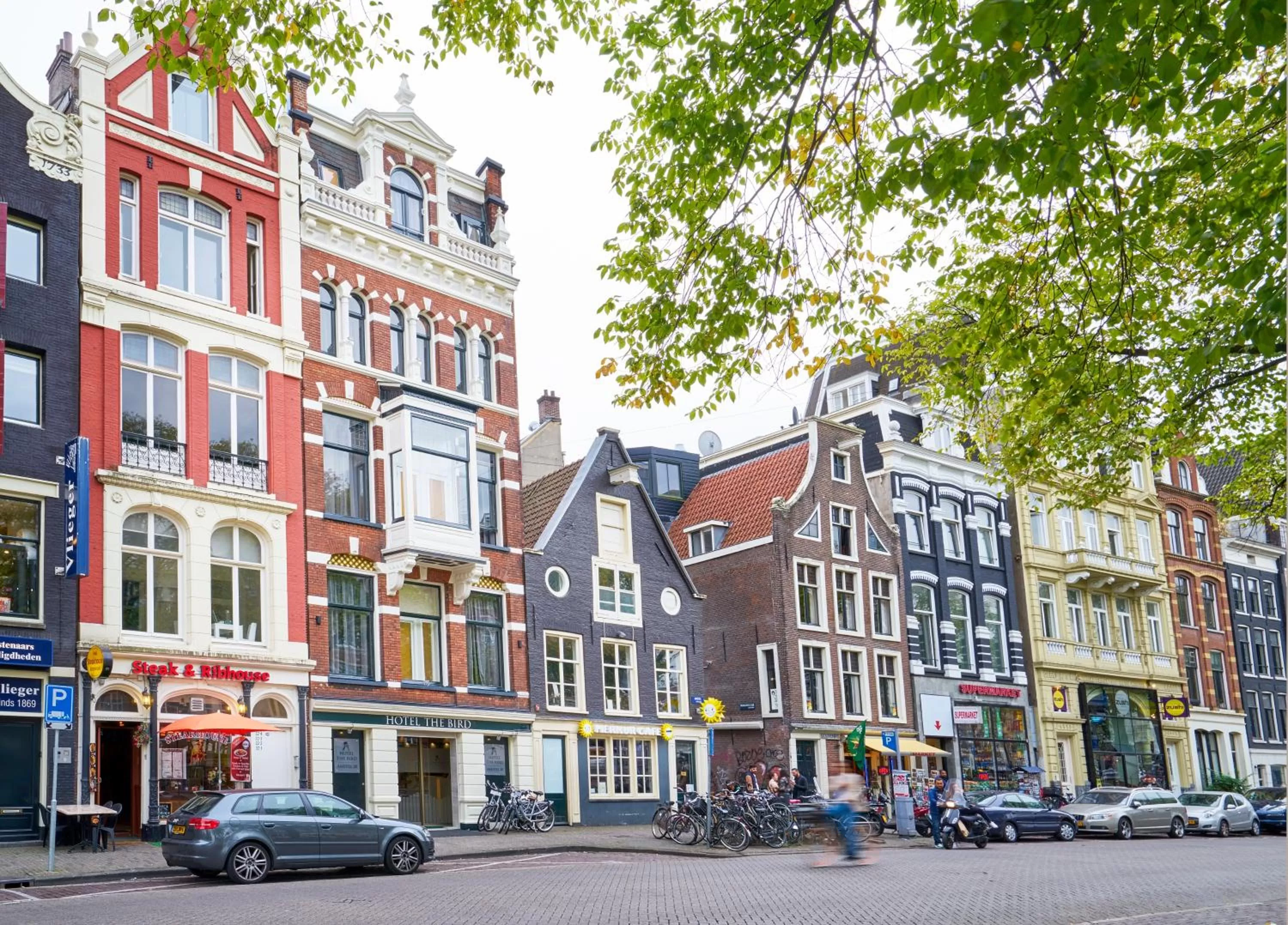 Property building in Hotel The Bird