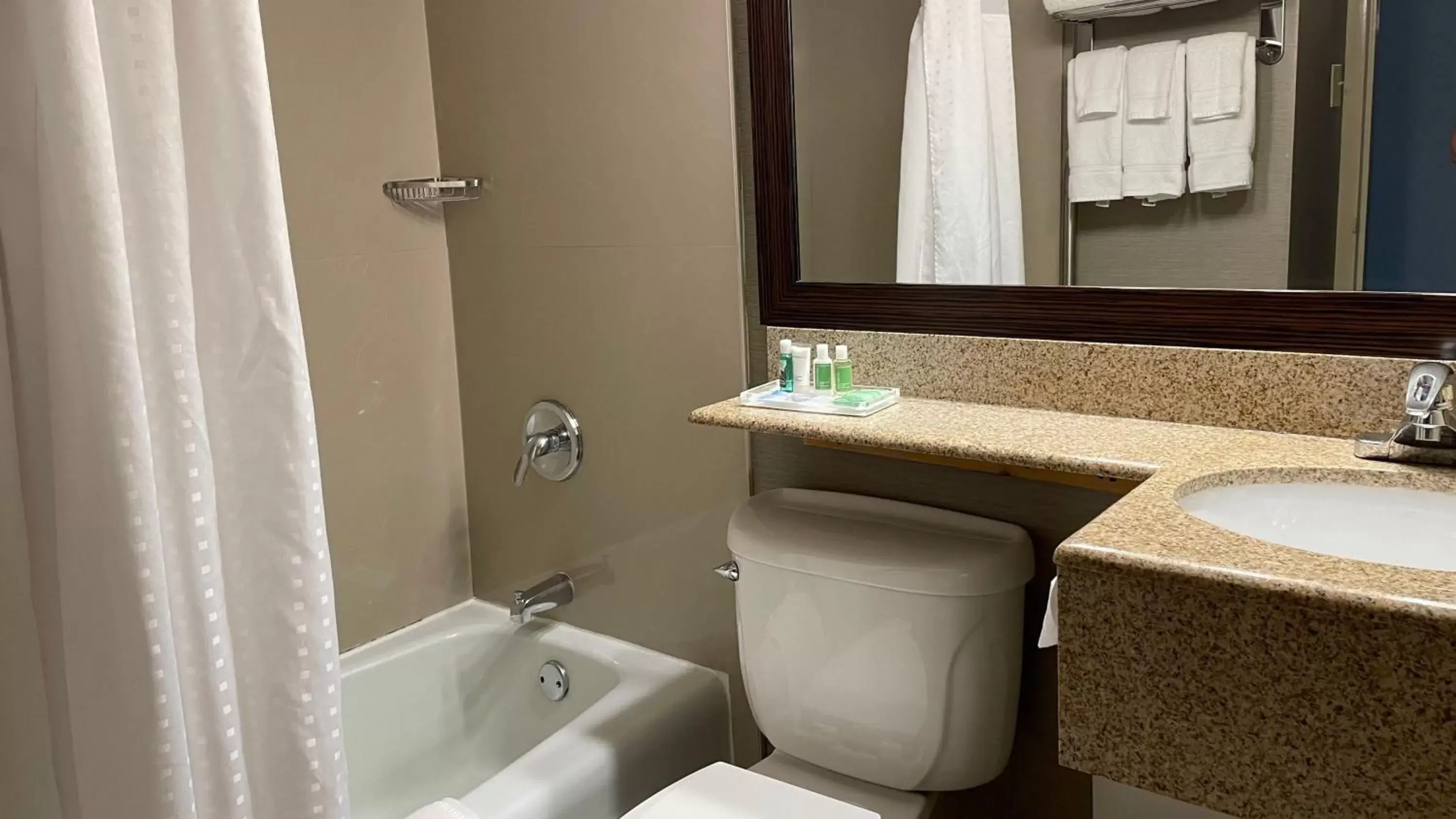Bathroom in Holiday Inn Danbury-Bethel at I-84, an IHG Hotel