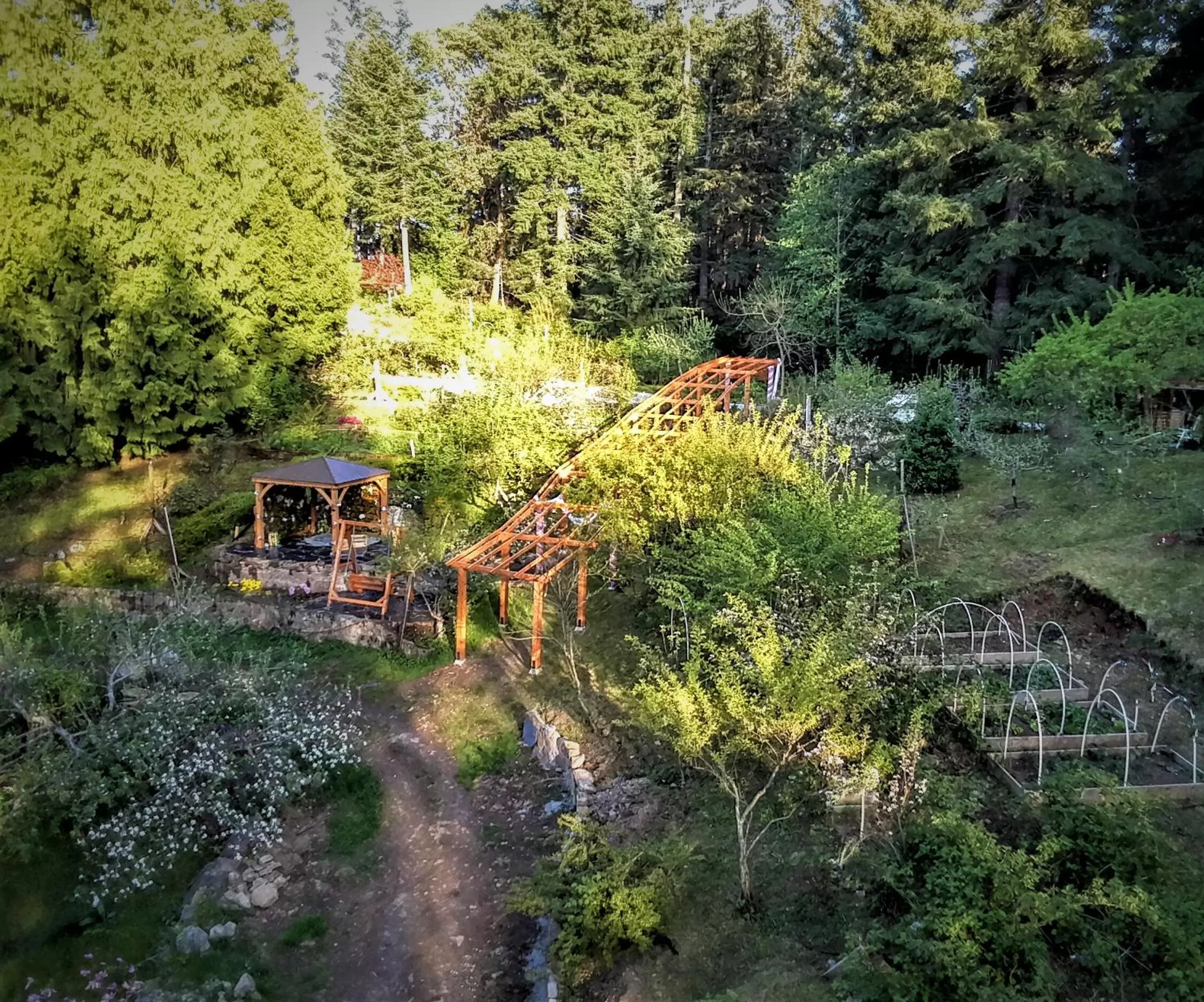 Spring in Armand Heights