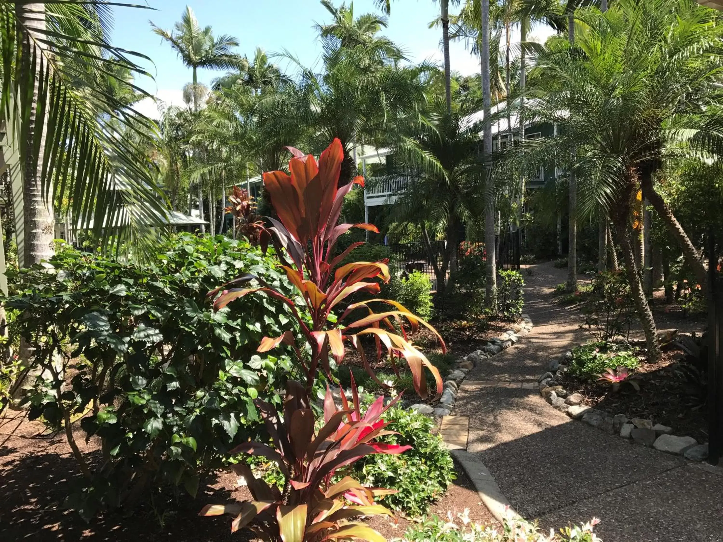 Garden in Coral Beach Noosa Resort