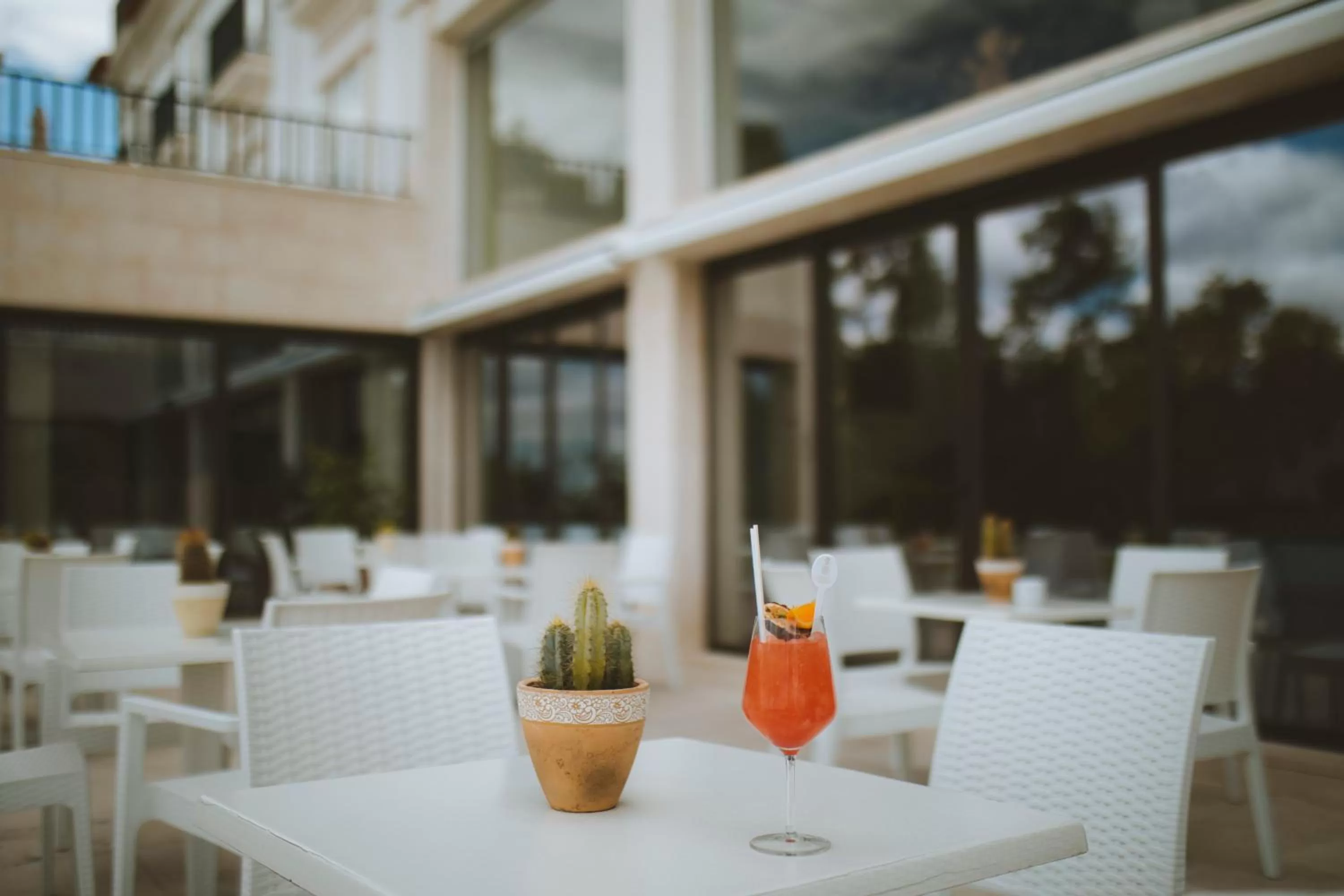 Restaurant/places to eat in Conimbriga Hotel do Paço