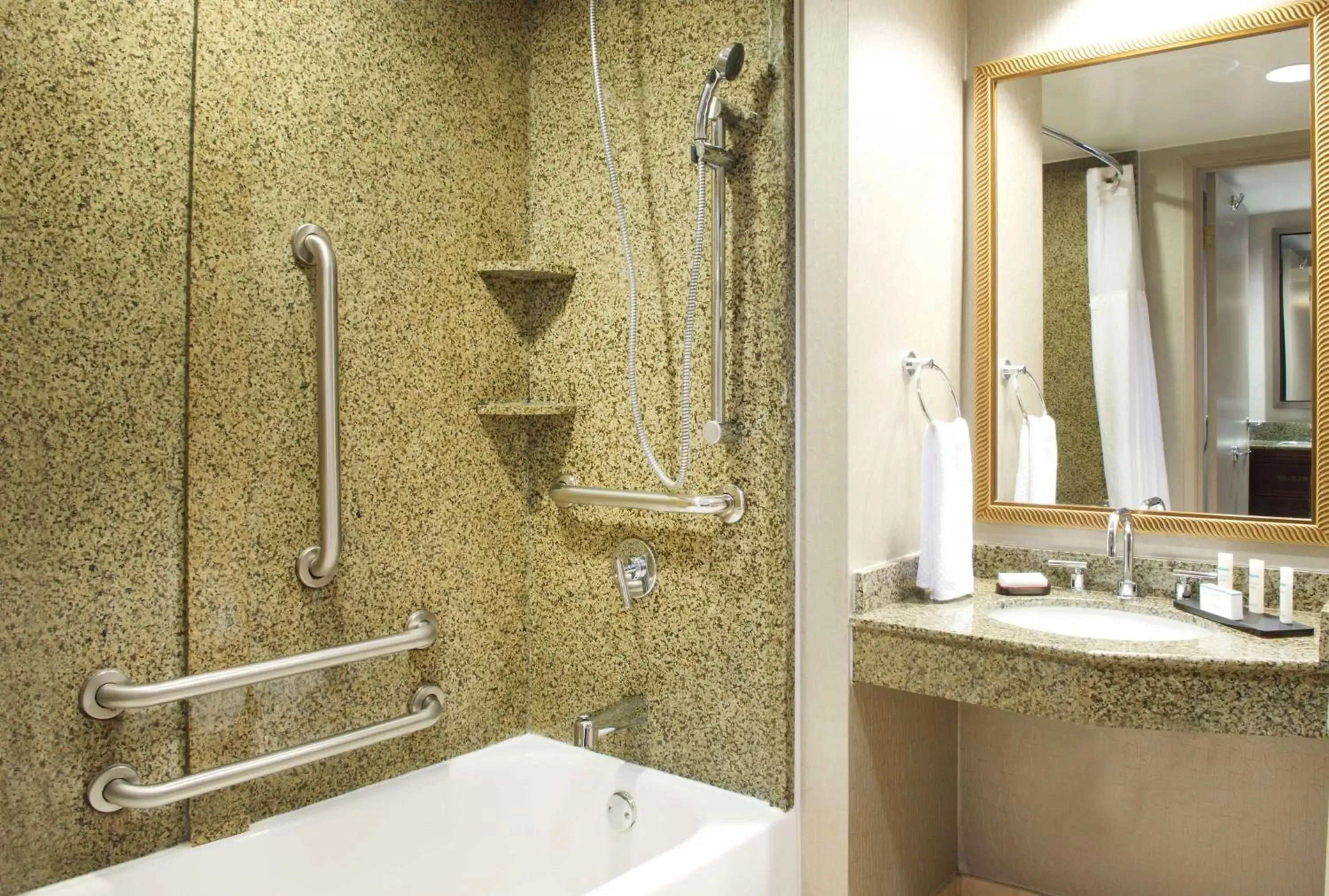 Bathroom in Embassy Suites by Hilton Seattle North Lynnwood