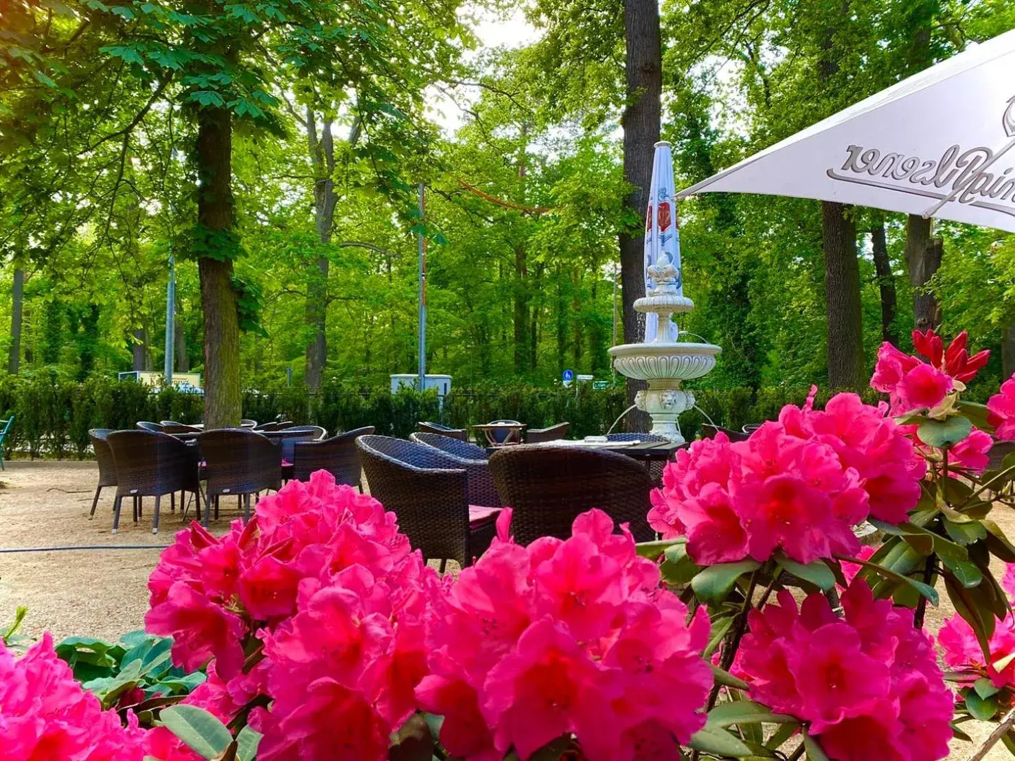 Garden view in Hotel Kronprinz