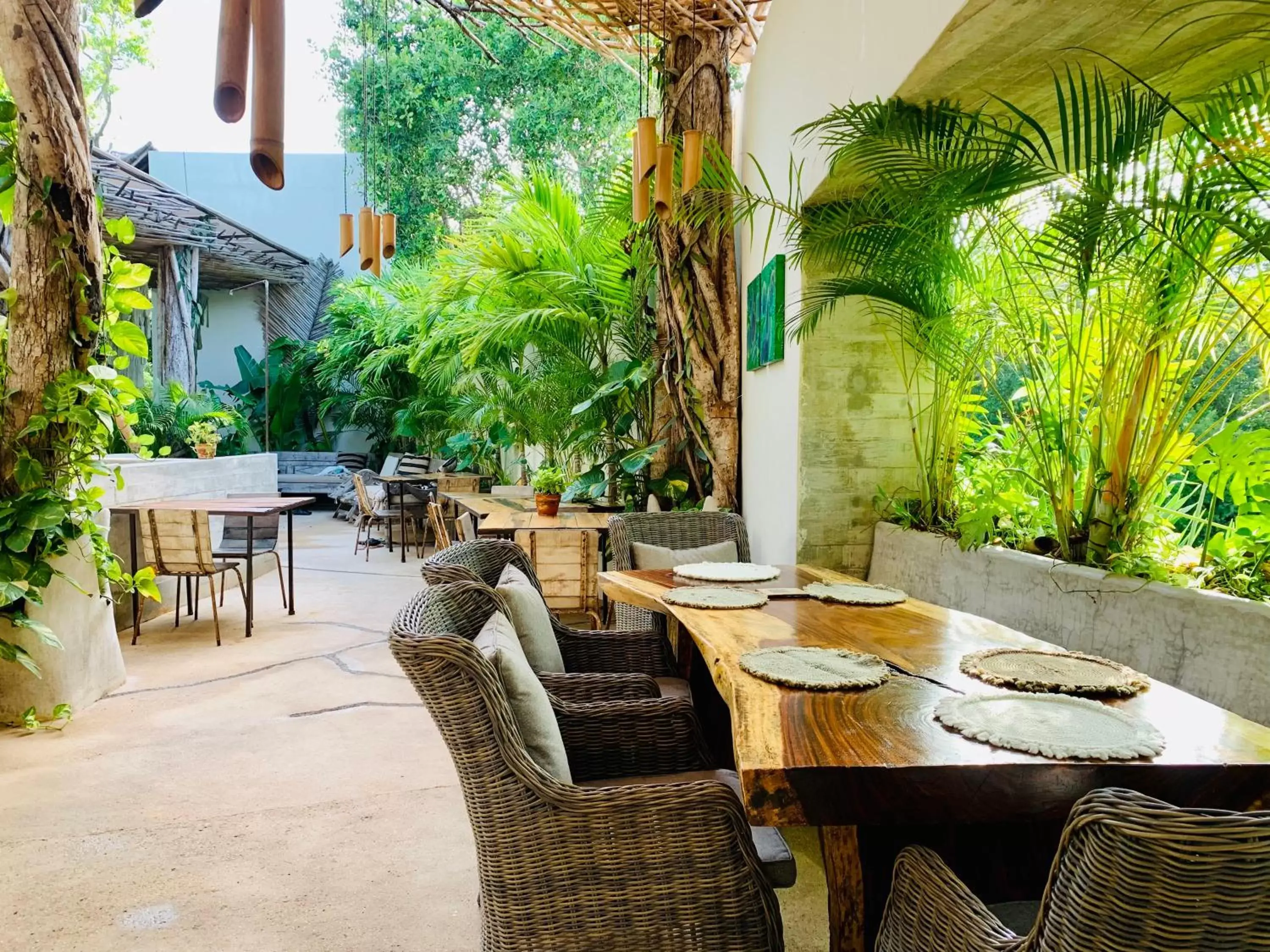 Restaurant/Places to Eat in Orchid House Tulum