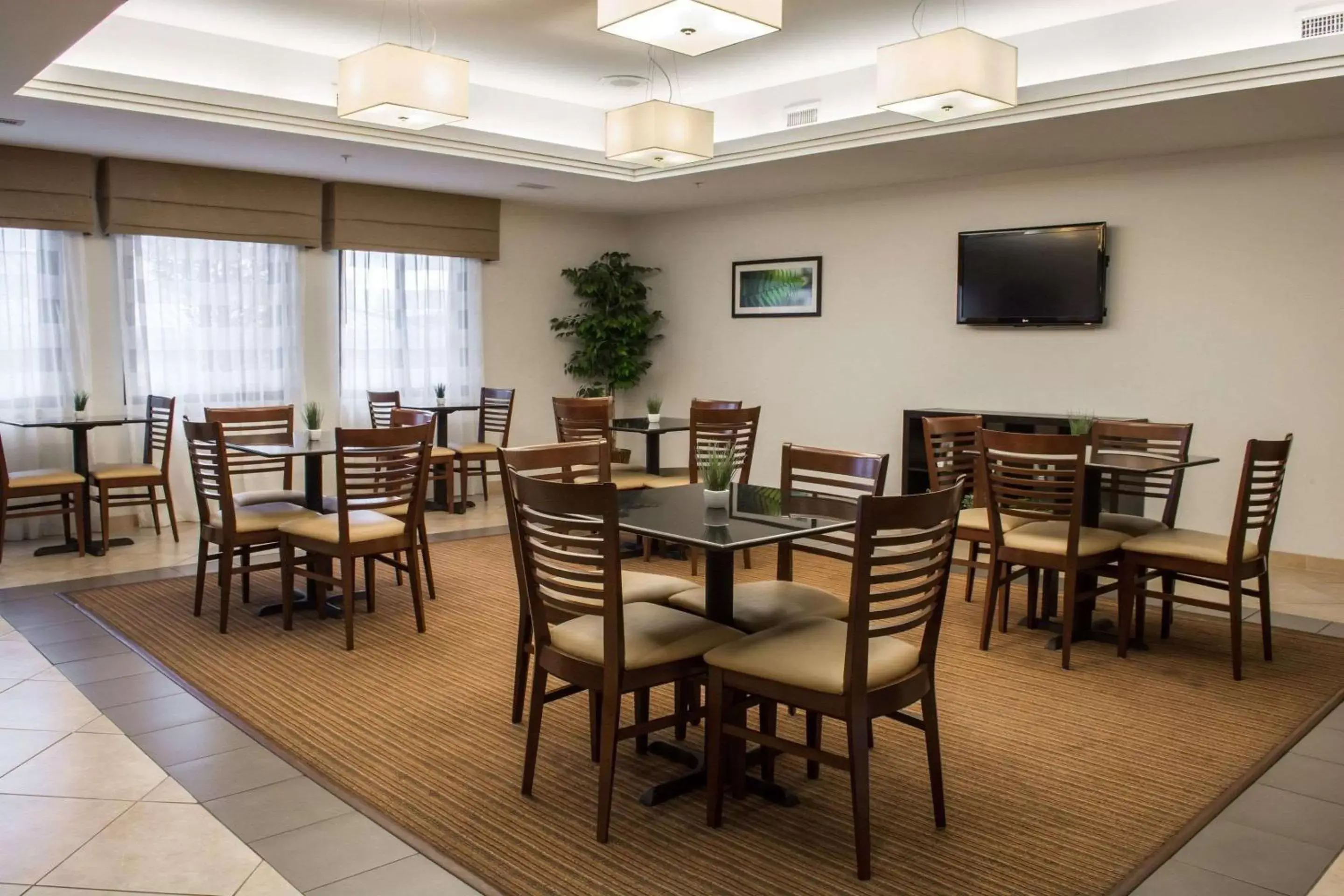 Restaurant/Places to Eat in Sleep Inn & Suites Harbour Pointe Midlothian