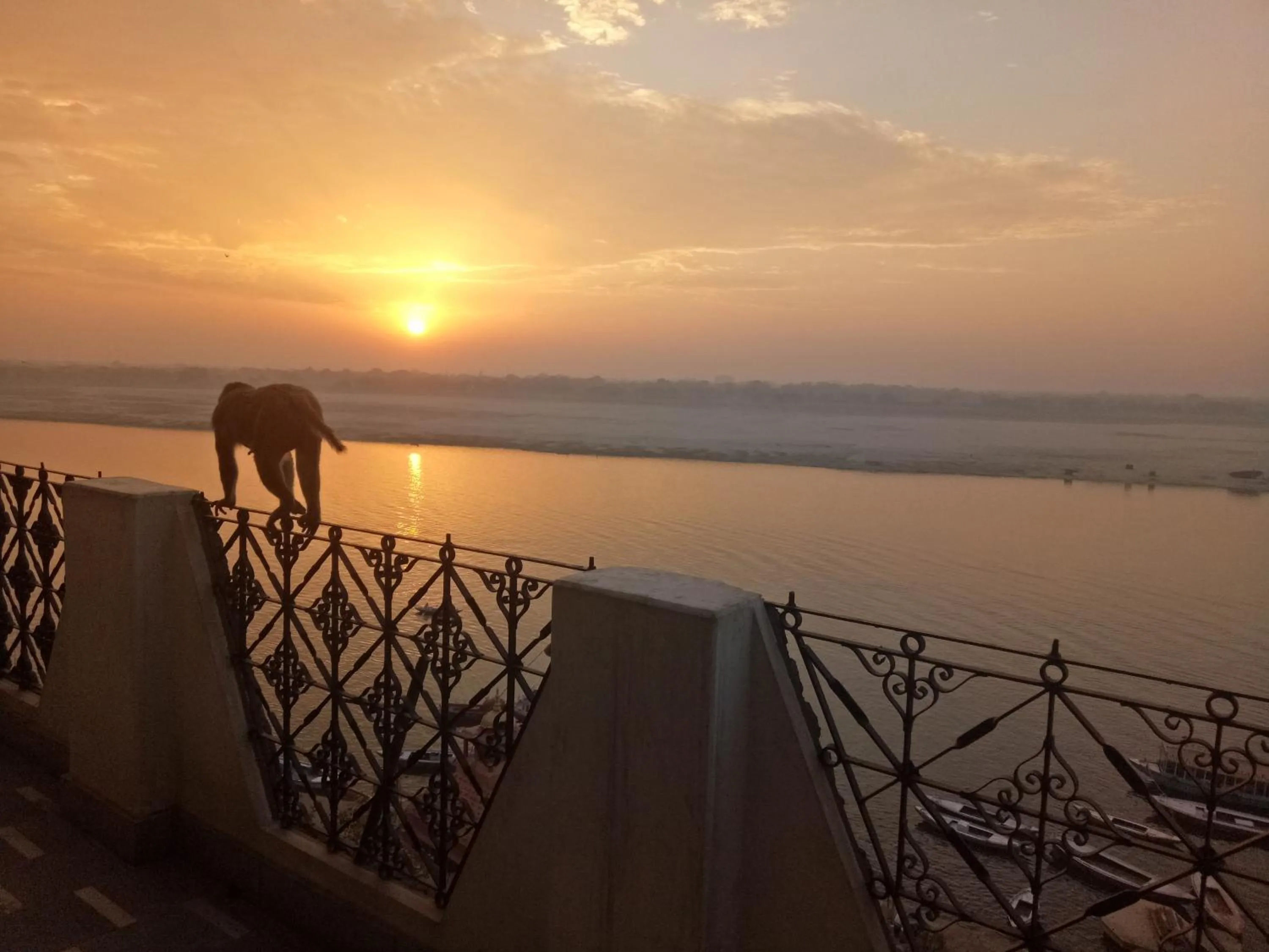 Summer in Scindhia Guest House