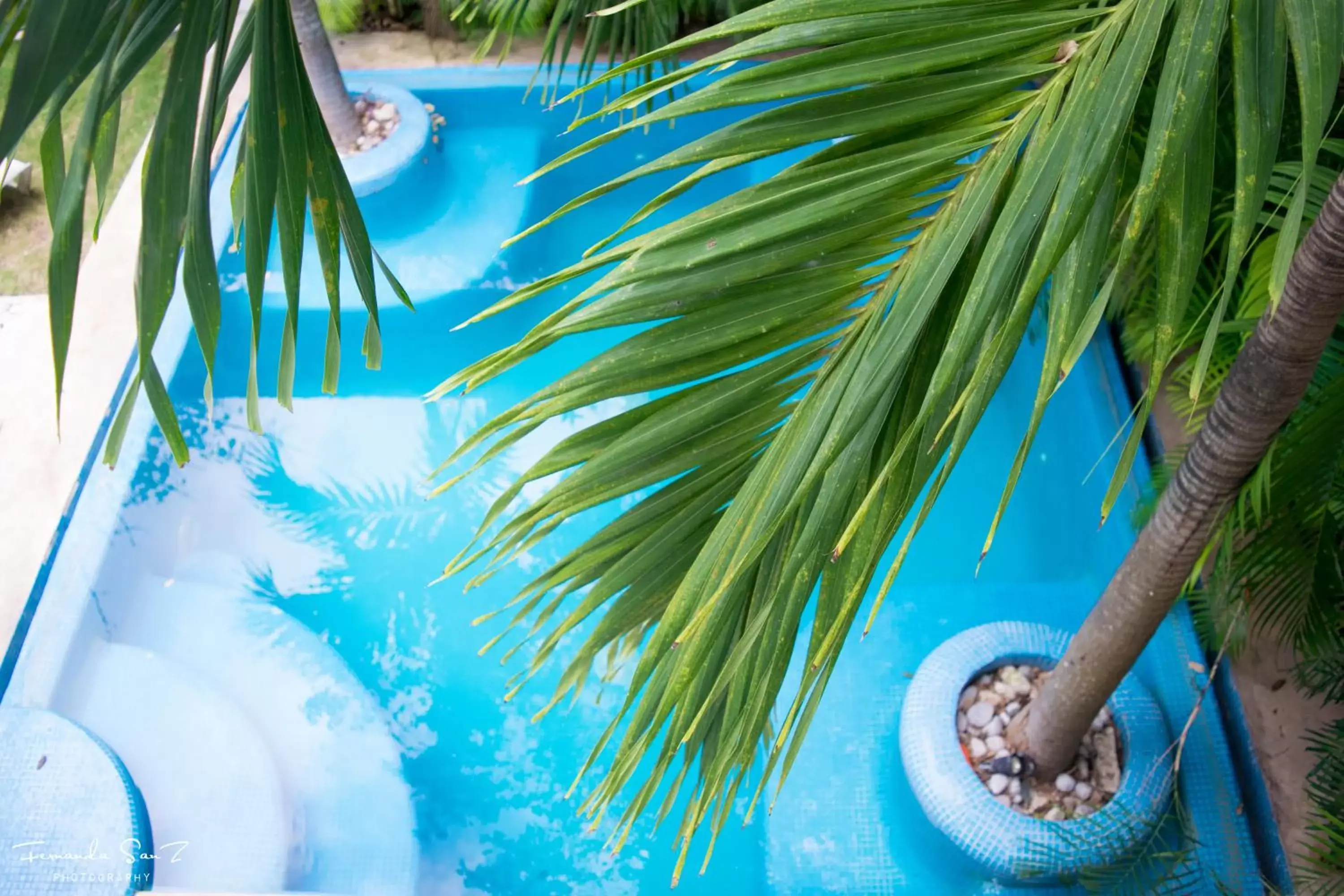 , Swimming Pool in Nasim Condo Hotel con acceso BEACH CLUB GRATIS, metros 5th AVENIDA