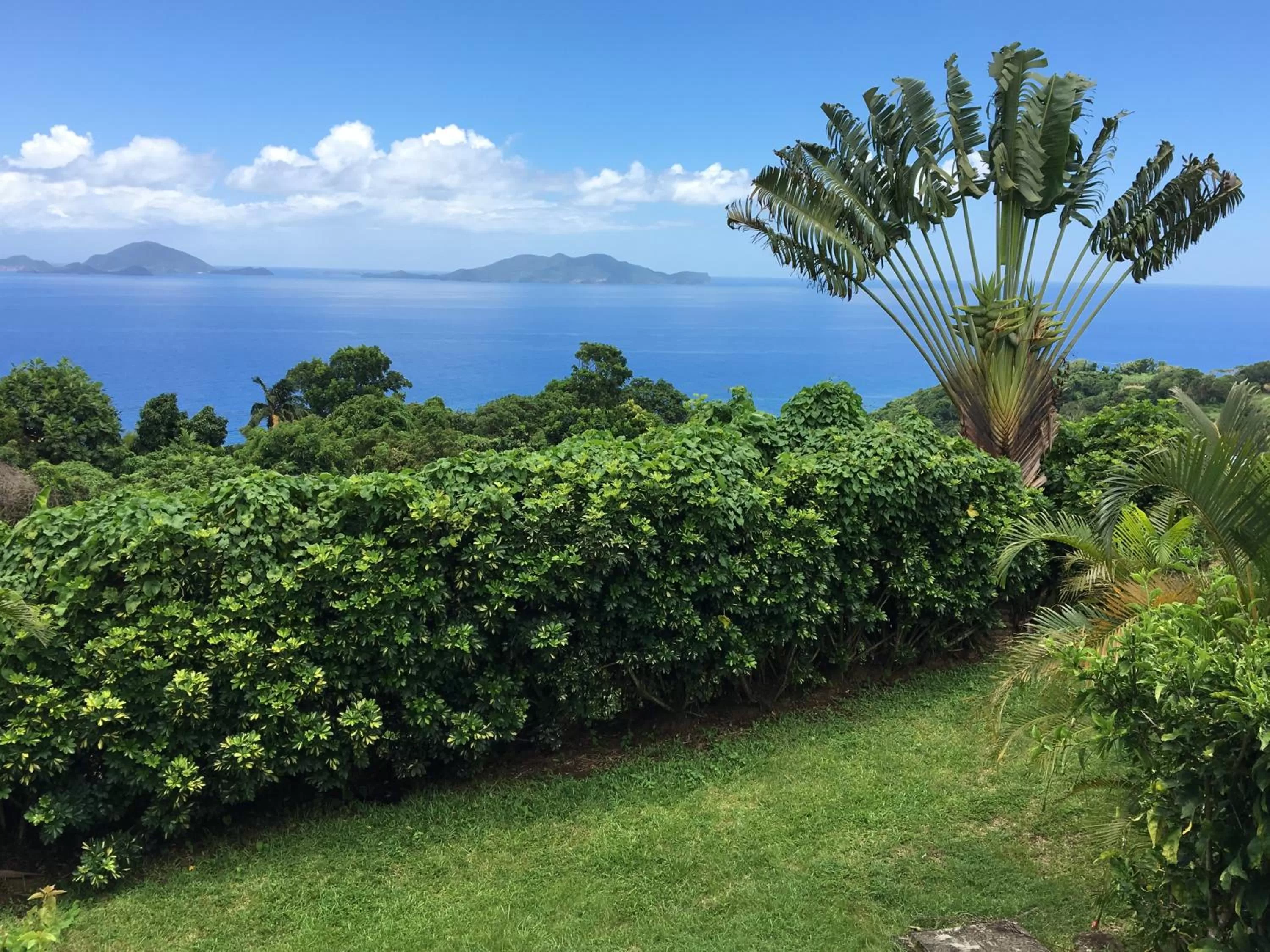 Villa Cajou chambres d'hôtes chez l'habitant et Zanzibar cottage