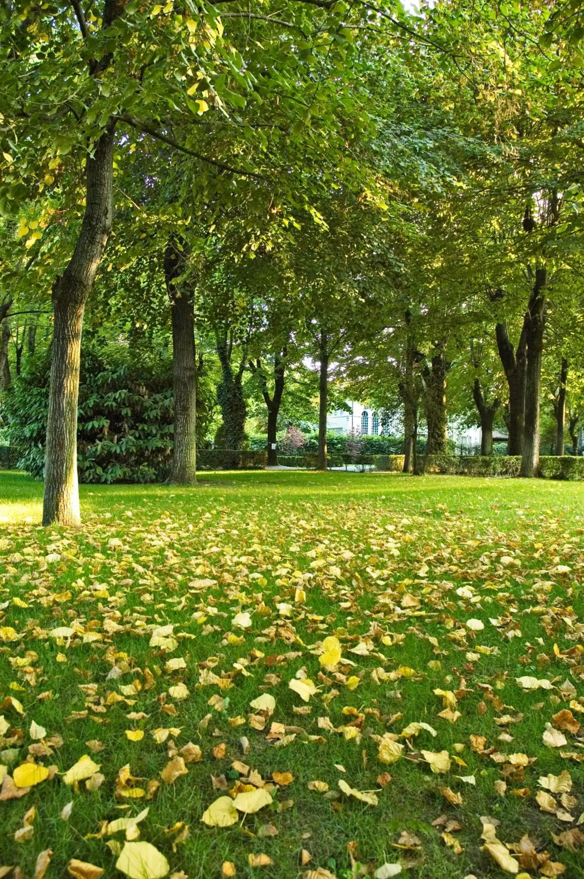 Garden in Residence Alleterme