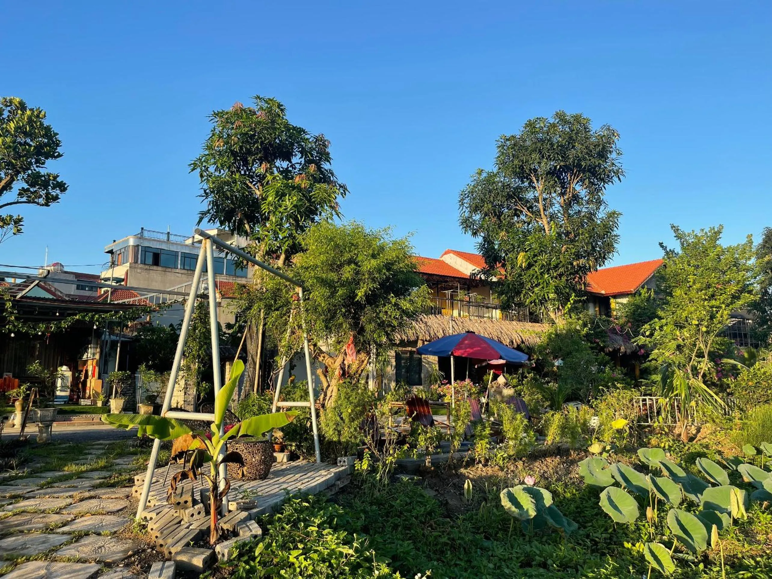 Property Building in Tam Coc Mountain View Homestay