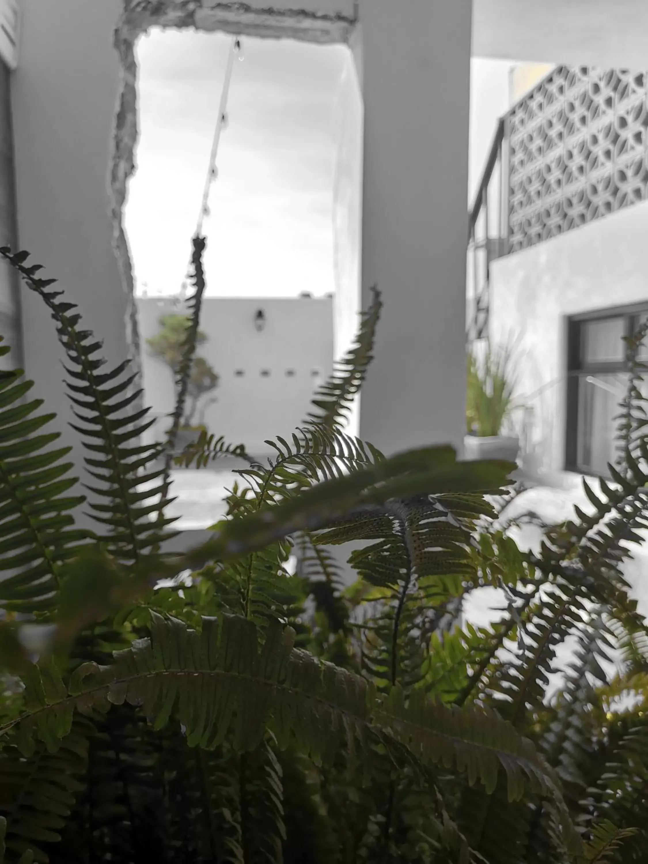 Balcony/Terrace in Santa Josefita B&B