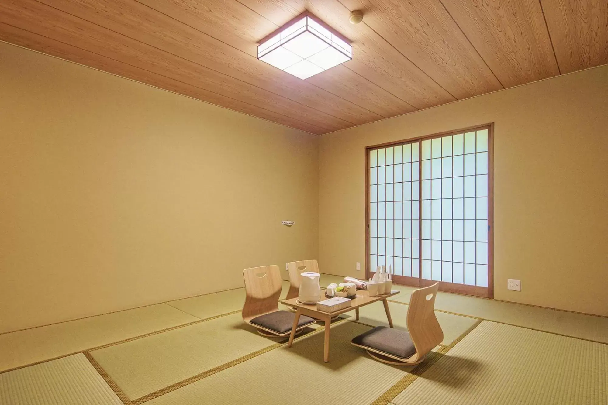 Living room in Bself Fuji Onsen Villa