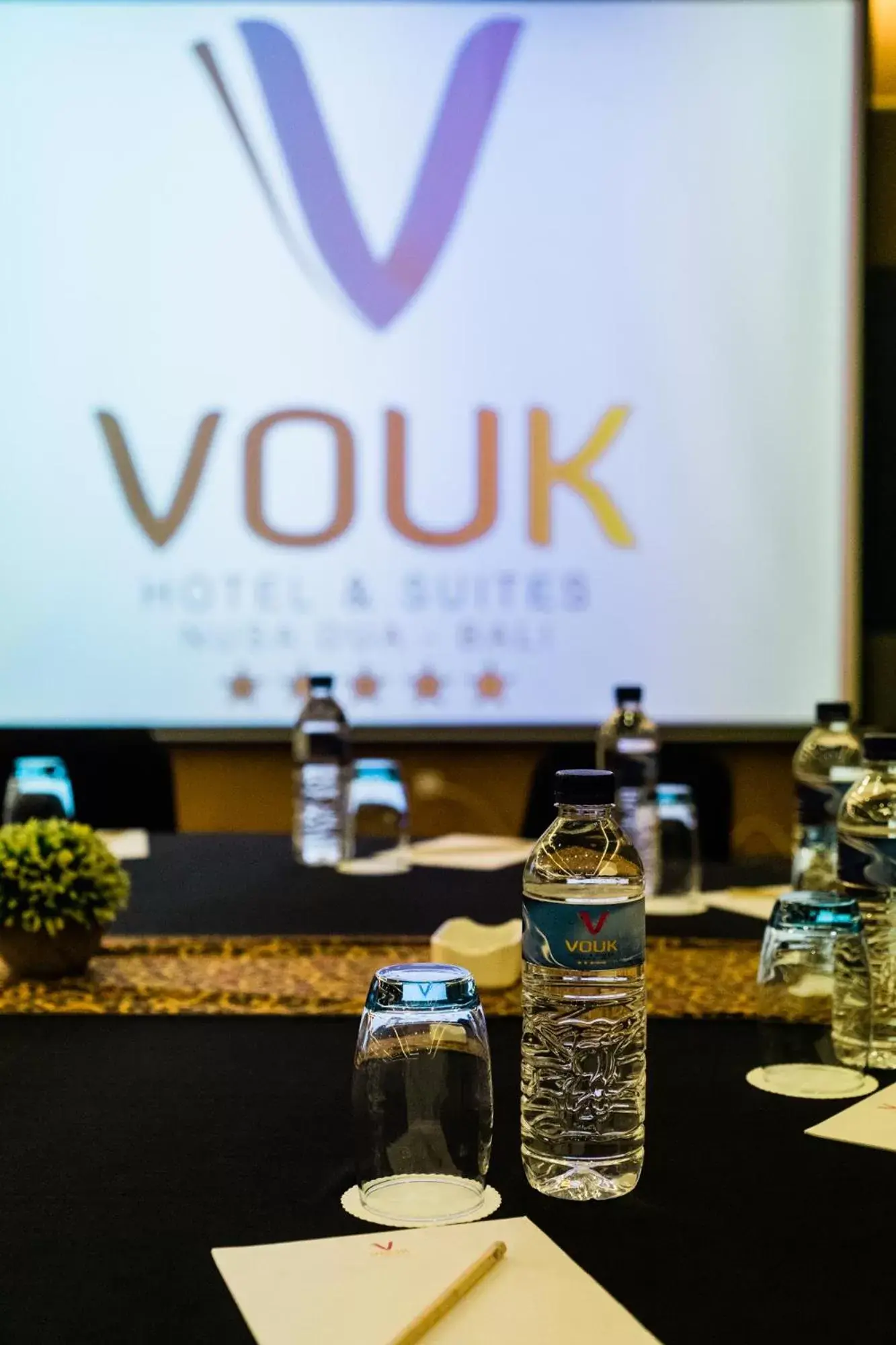 Business facilities in Vouk Hotel and Suites