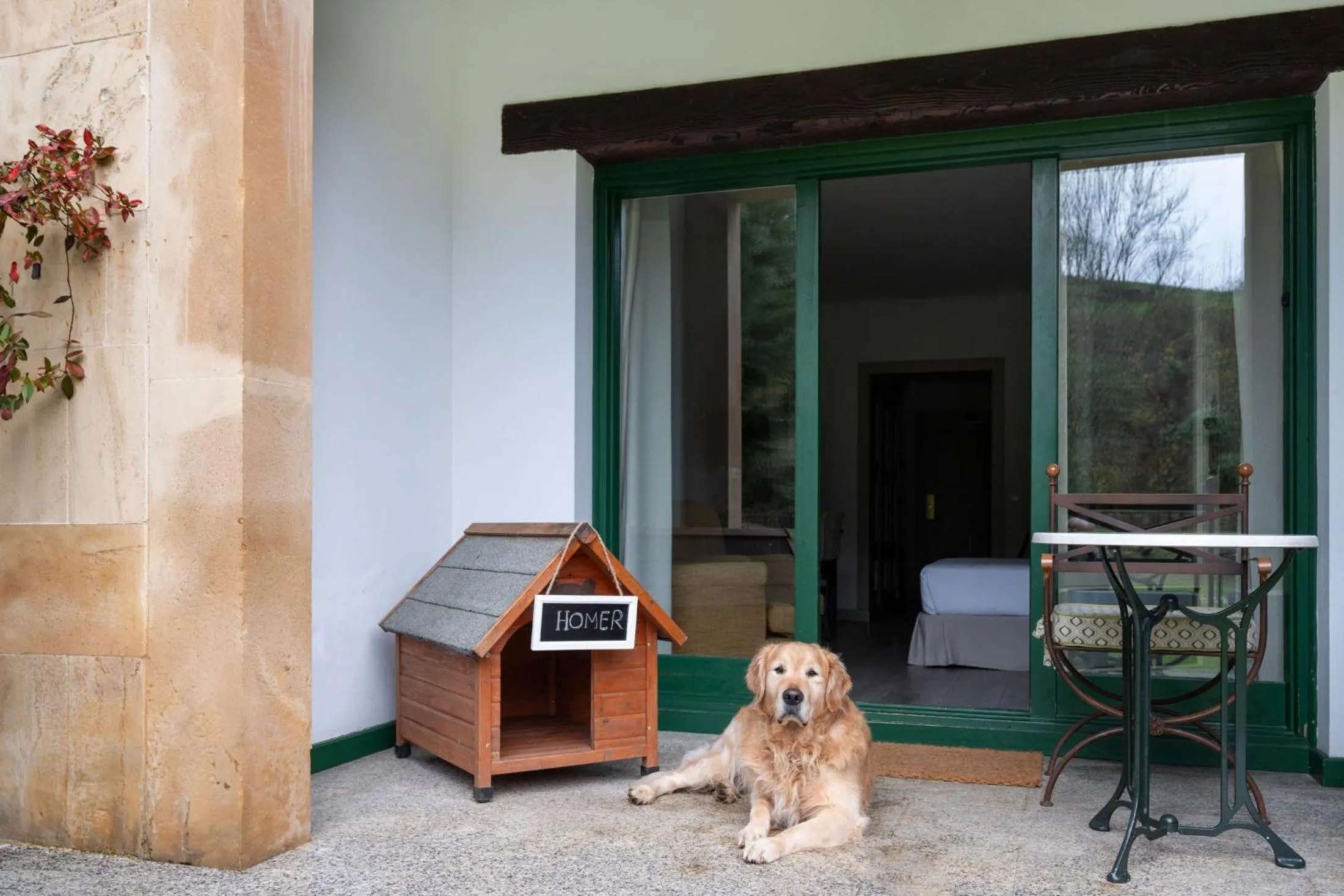 Pets in Parador de Cangas de Onís