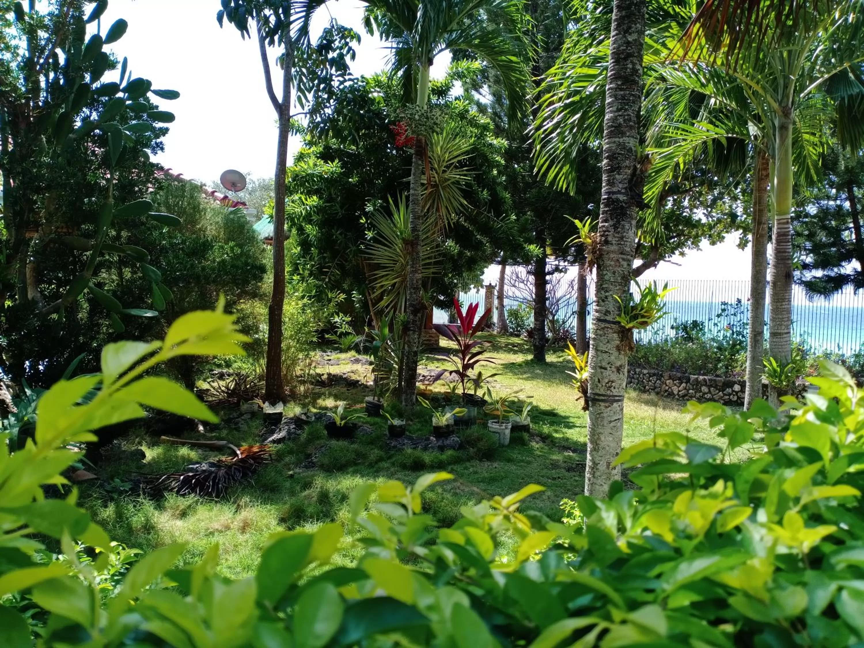 Garden in Ancelle Cristo Re