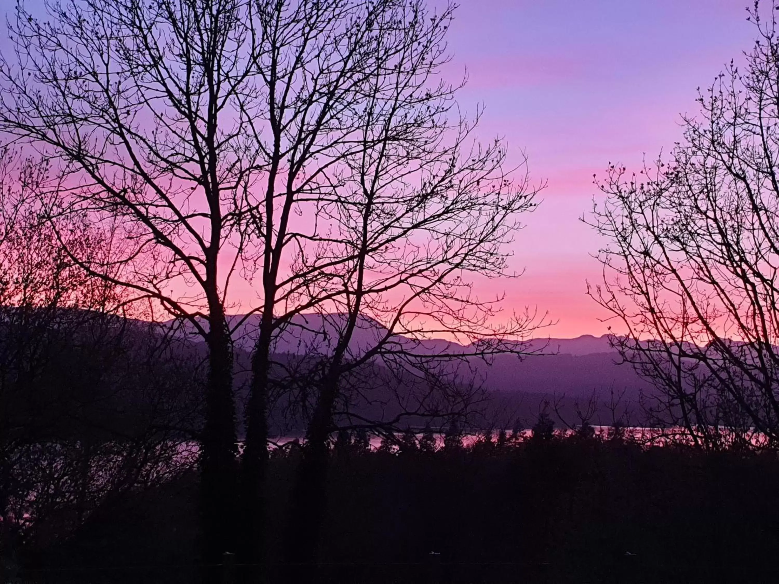 Natural landscape in Windermere Manor Hotel