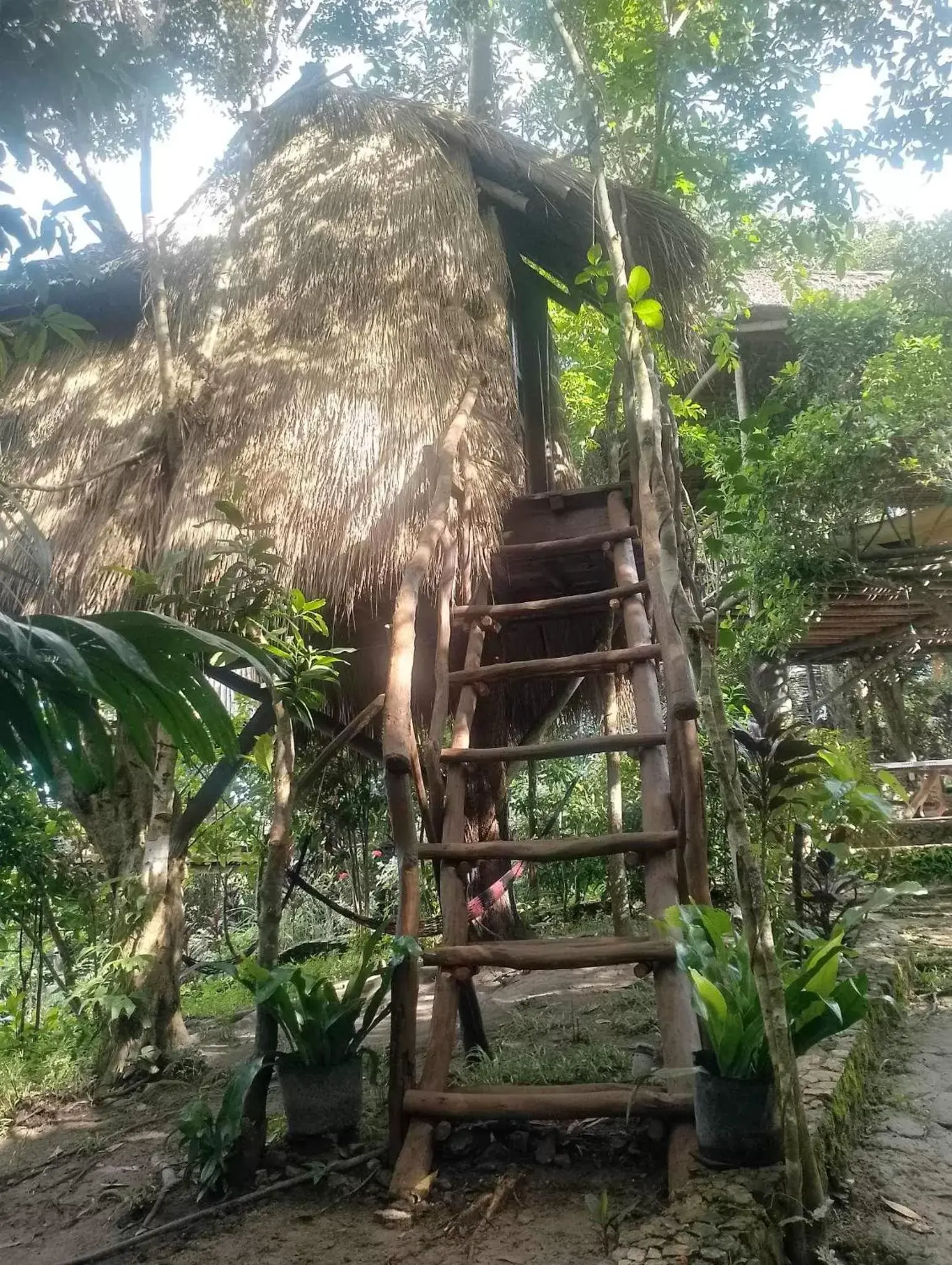 Sanctuaria Treehouses Busuanga