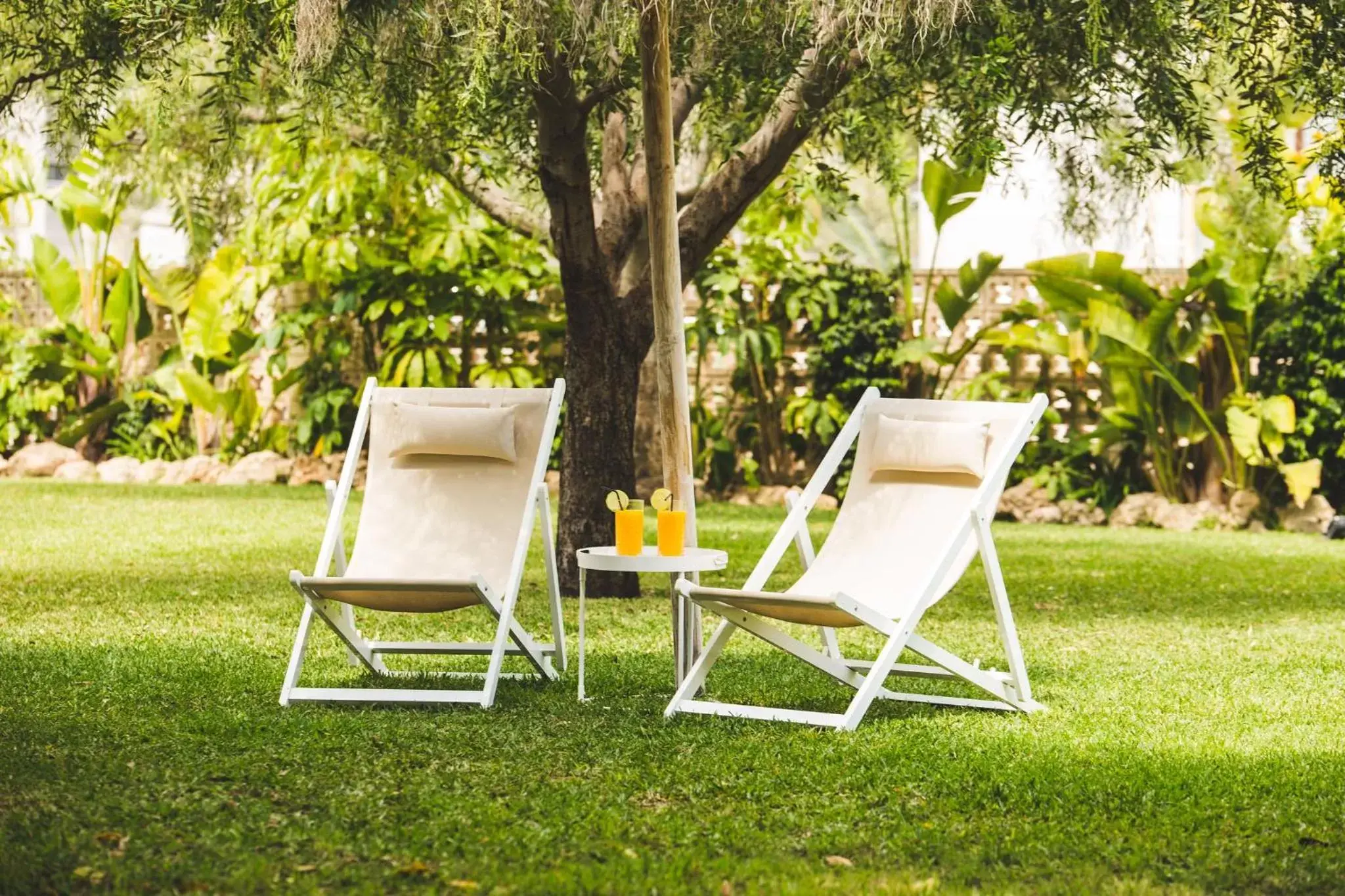 Garden in Hotel Almirante