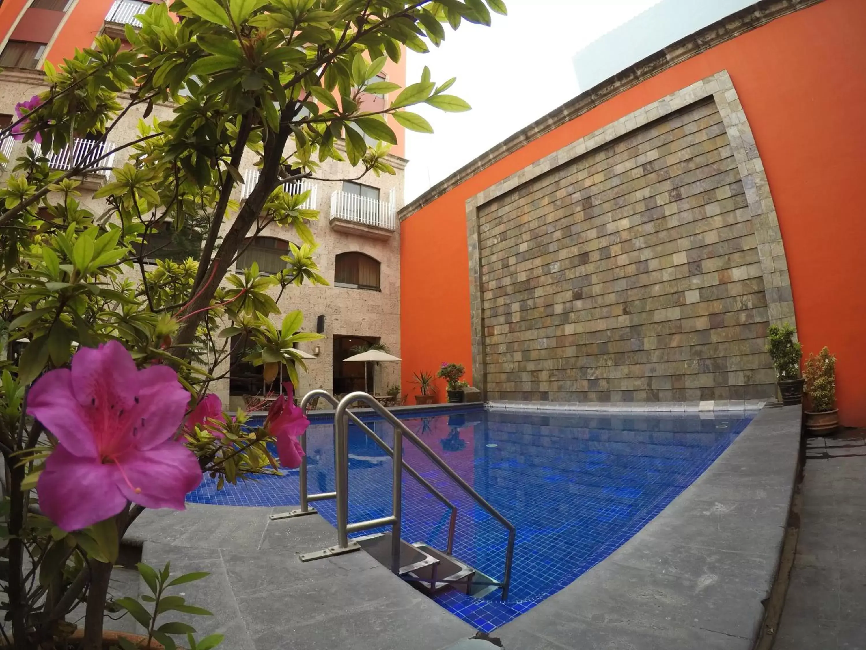Swimming Pool in Hotel Celta