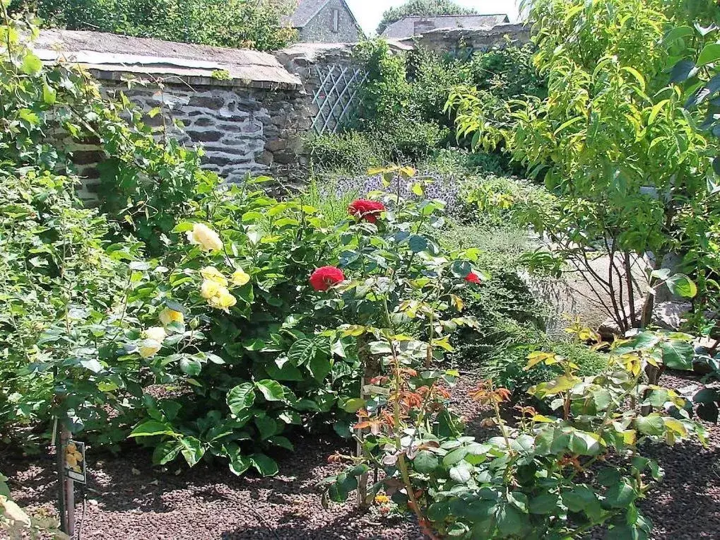 Garden in Chambres de Condate