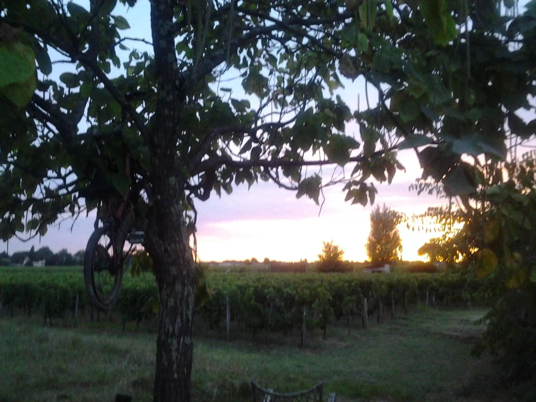 Property building in Au Vélo dans l'Arbre