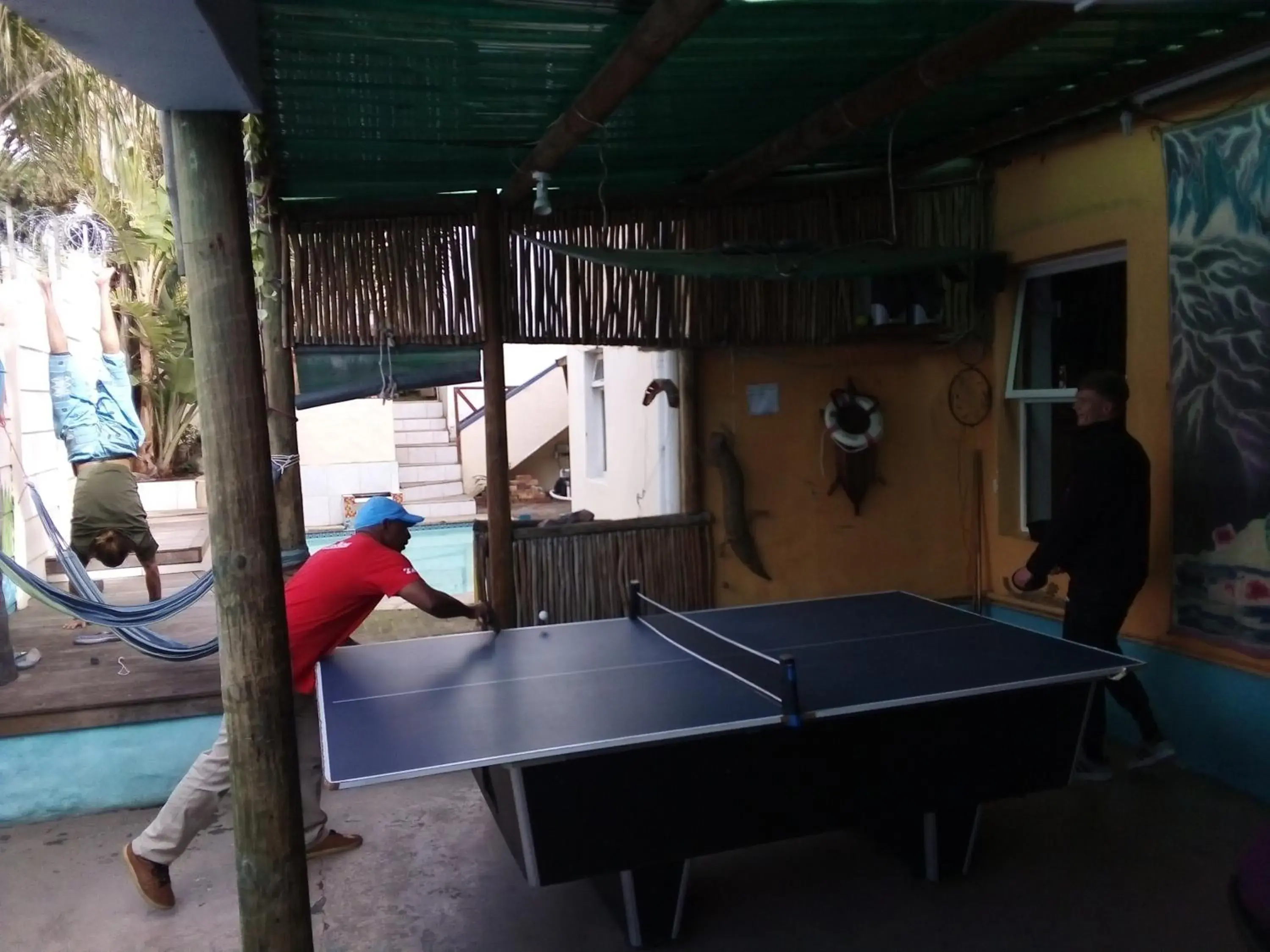 Property building, Table Tennis in Big Blue Backpackers