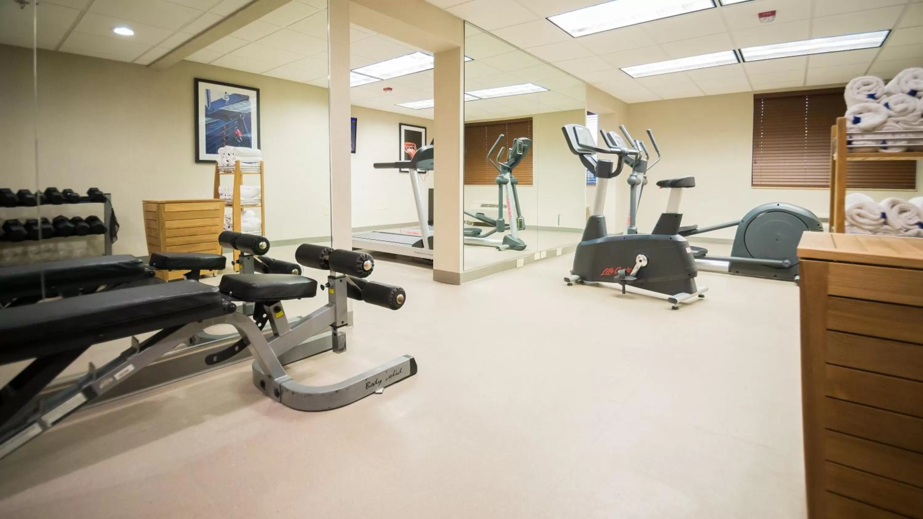 Fitness centre/facilities in Holiday Inn Greenville by IHG