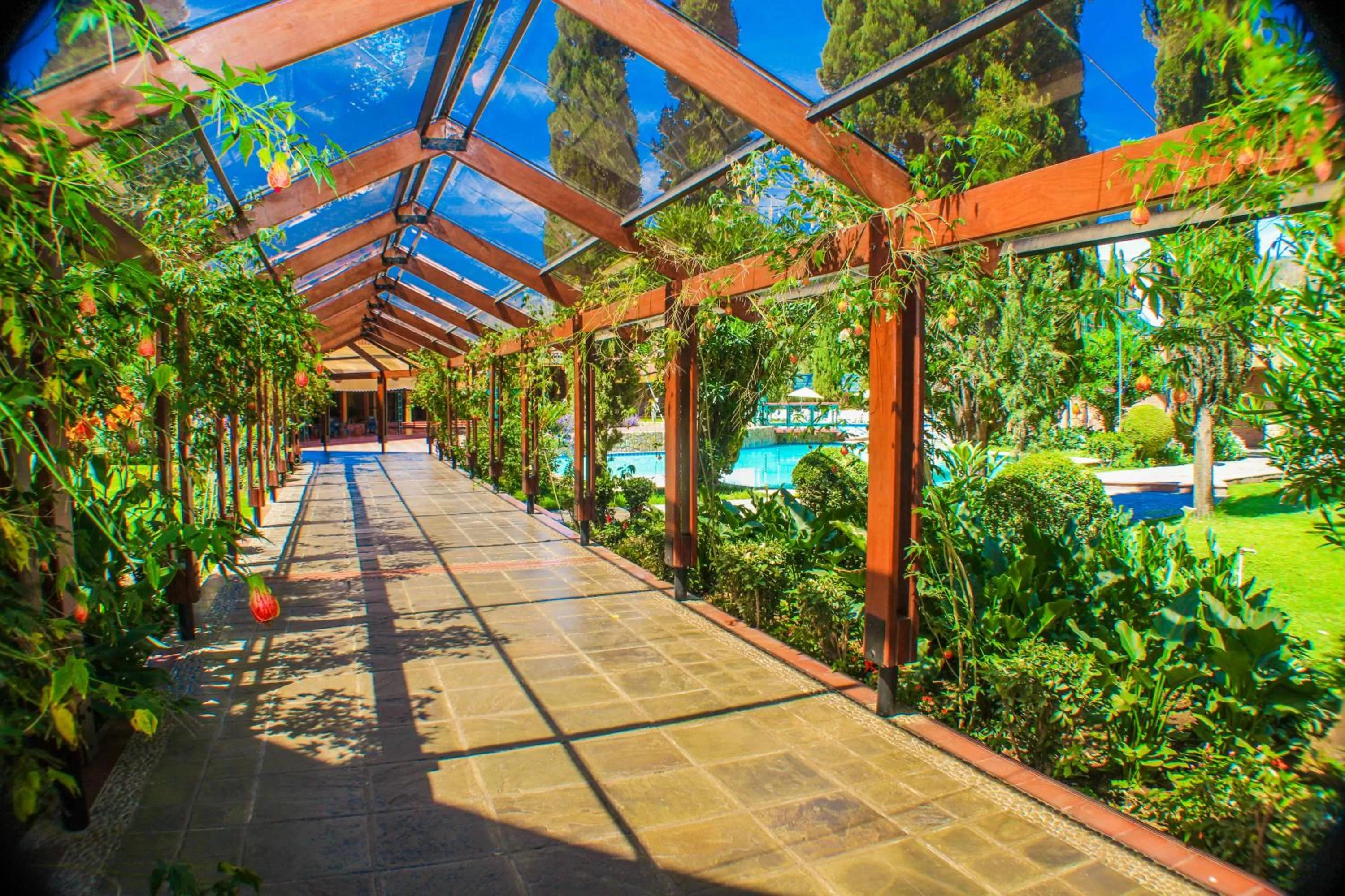 Bird's eye view in Hotel Los Parrales