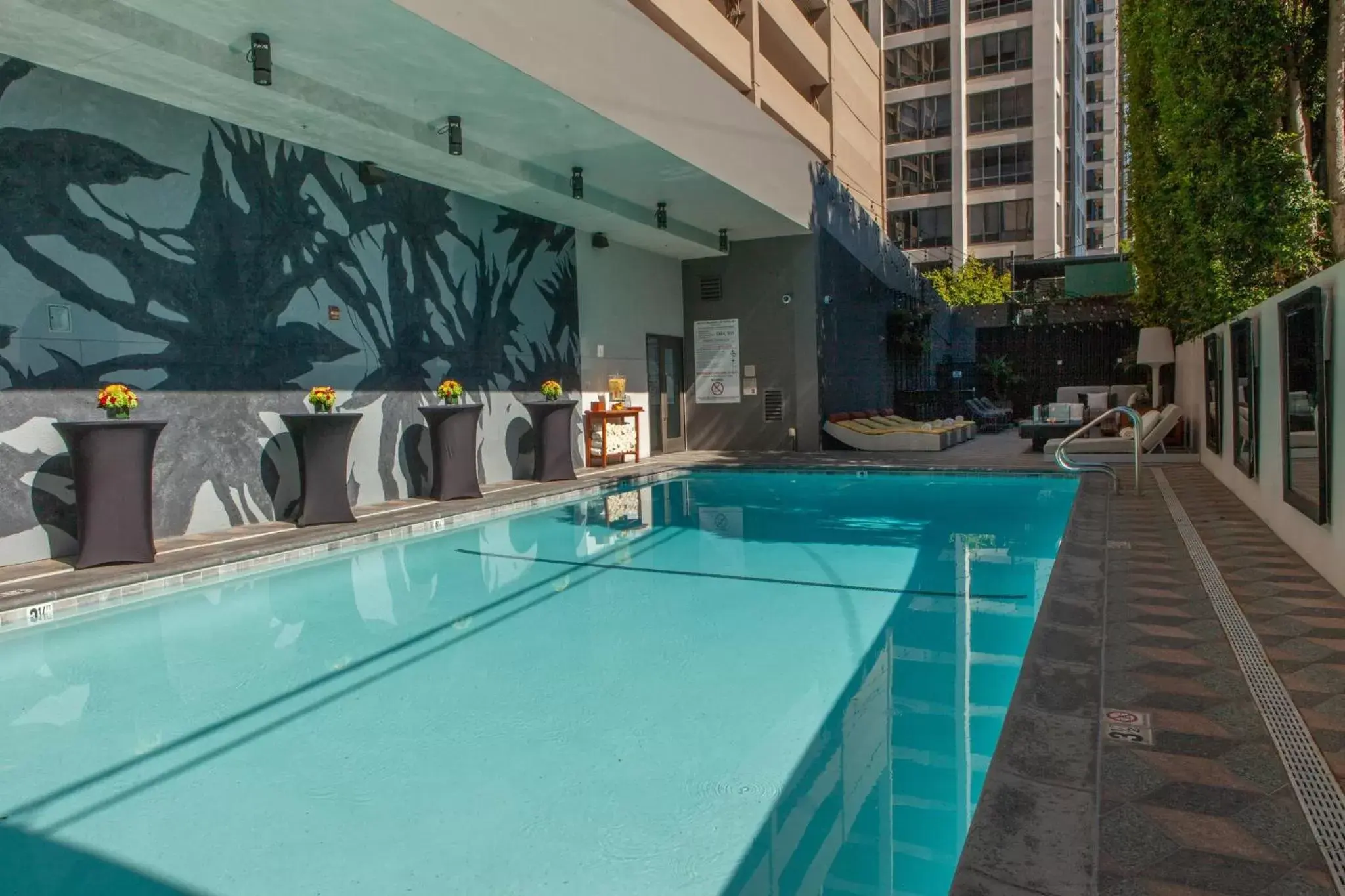 Swimming Pool in Kimpton Hotel Palomar Los Angeles Beverly Hills, an IHG Hotel