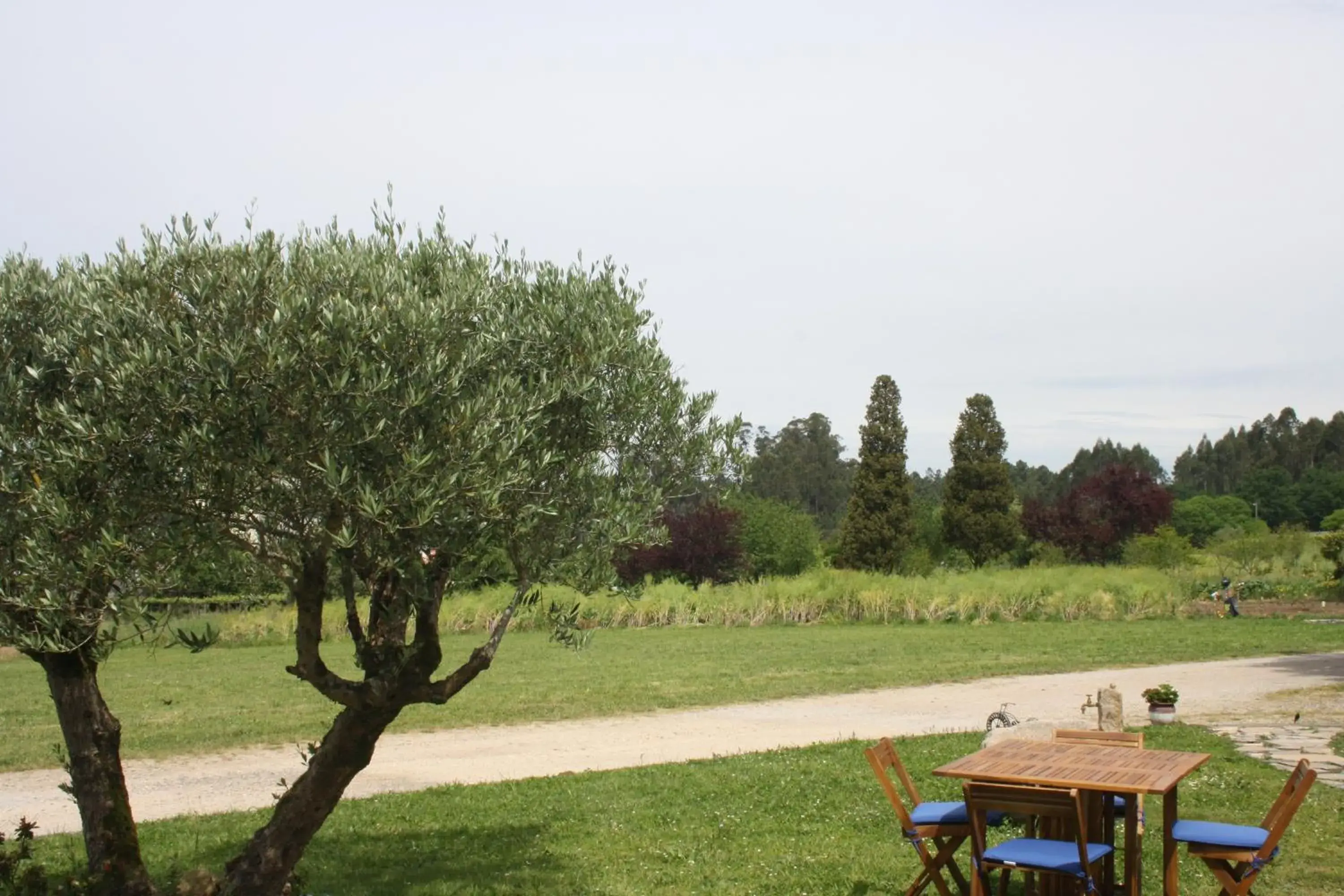 Garden view in A Casa da Meixida