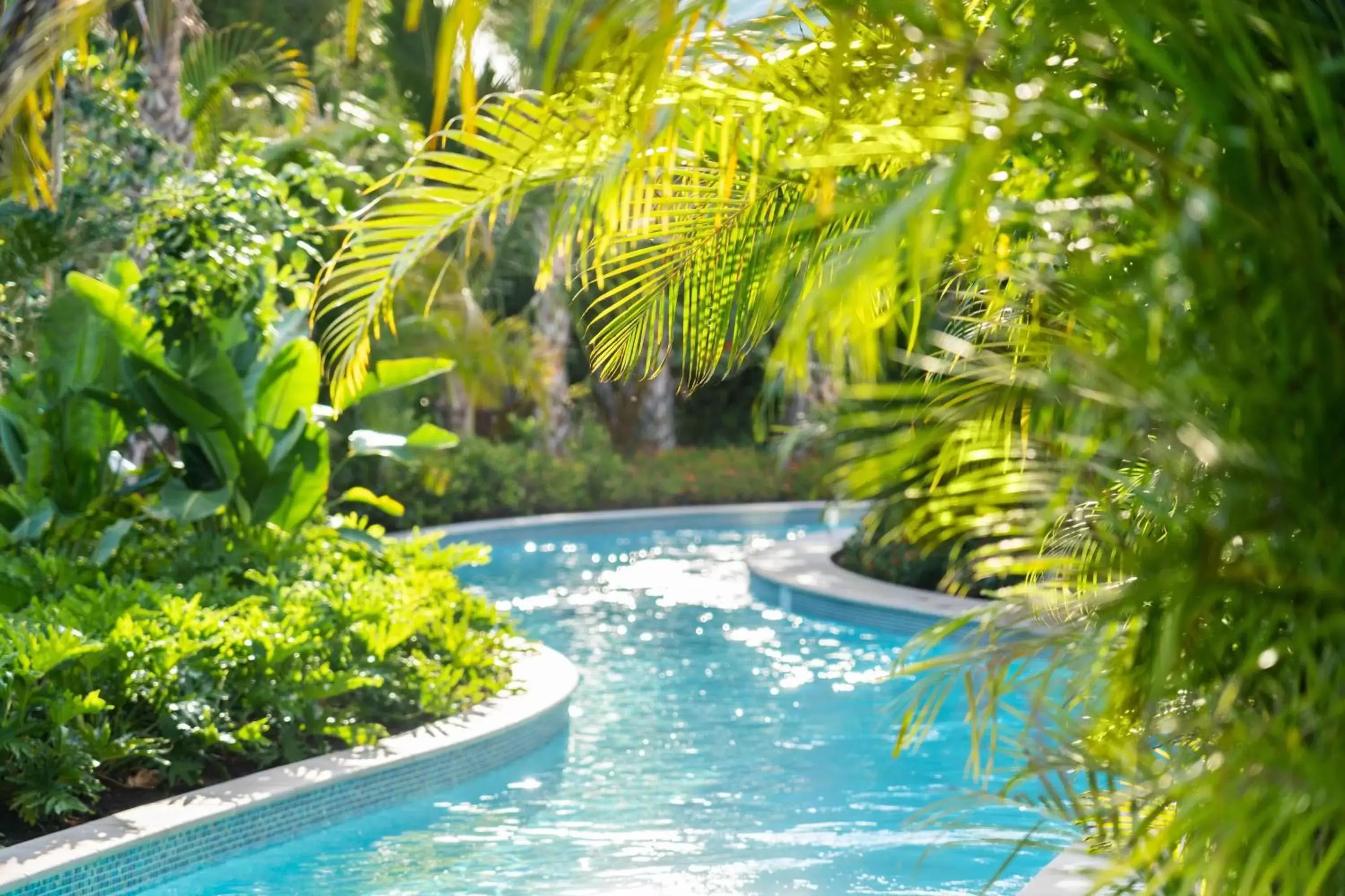 Area and facilities, Swimming Pool in The Ritz-Carlton Naples, Tiburón