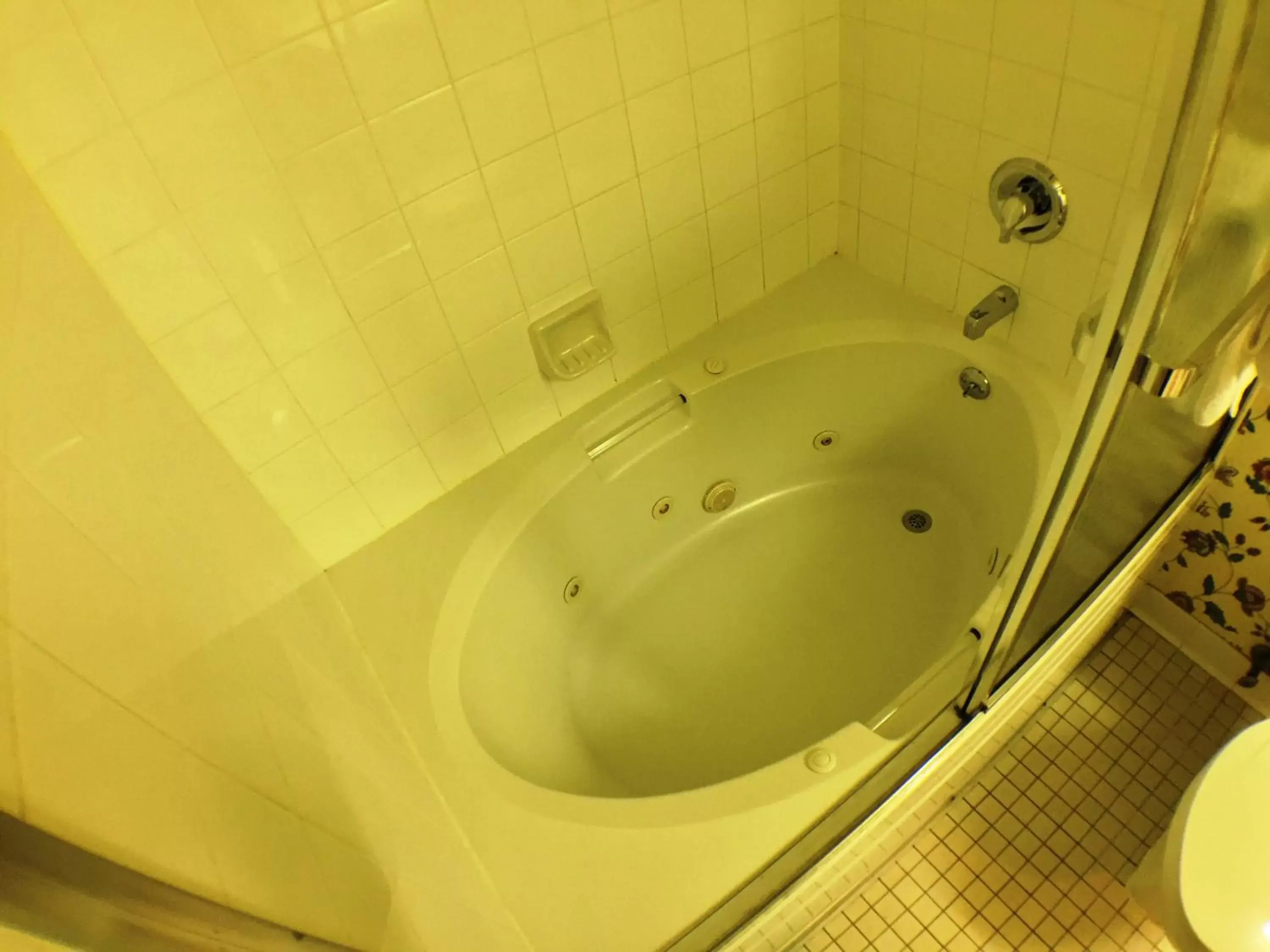 Hot Tub, Bathroom in Super 8 by Wyndham Canandaigua