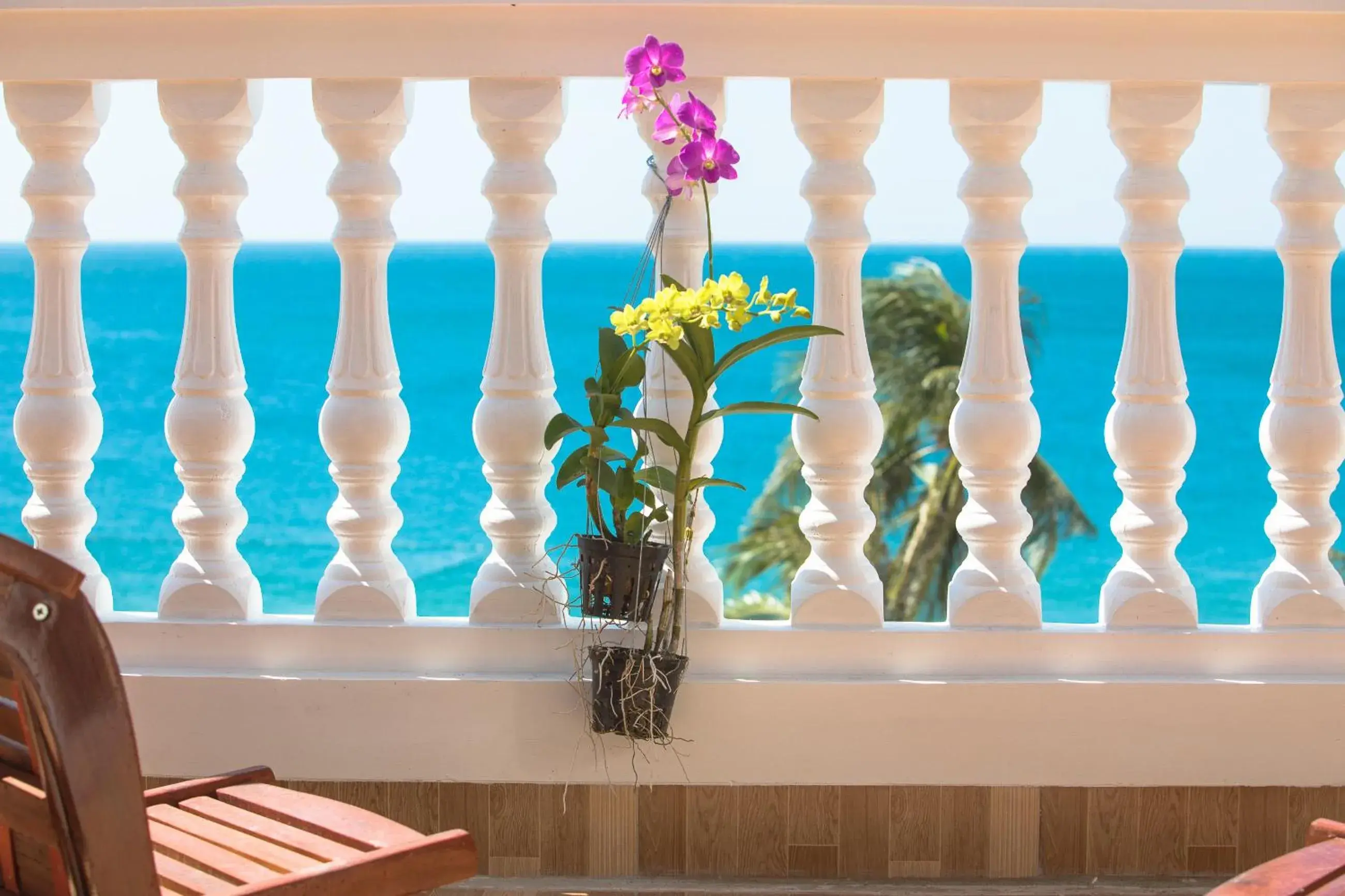 View (from property/room) in Phuong Binh House View (from property/room) in Phuong Binh House