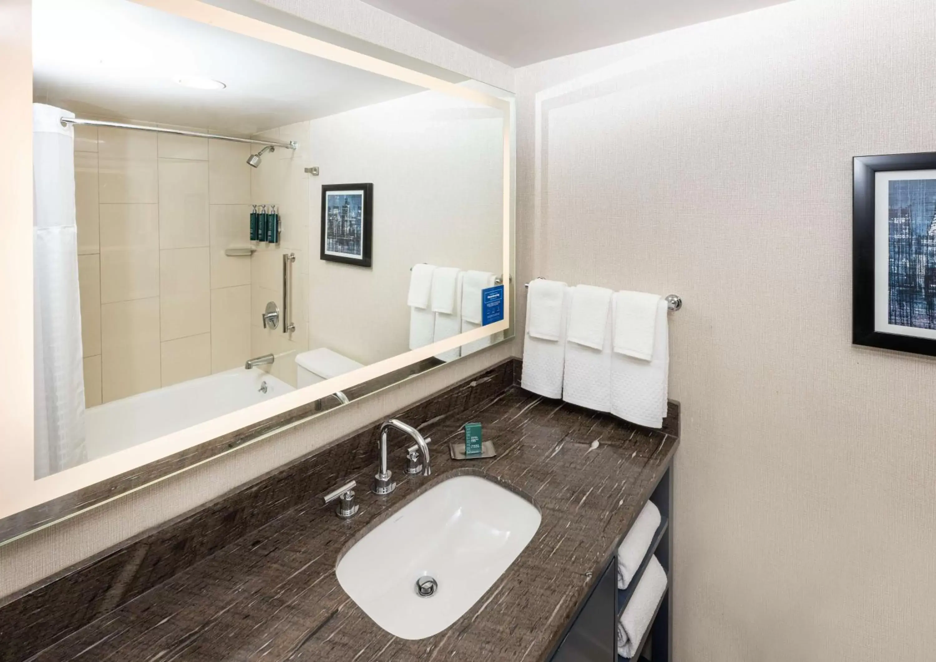 Bathroom in DoubleTree by Hilton Hotel Newark Airport