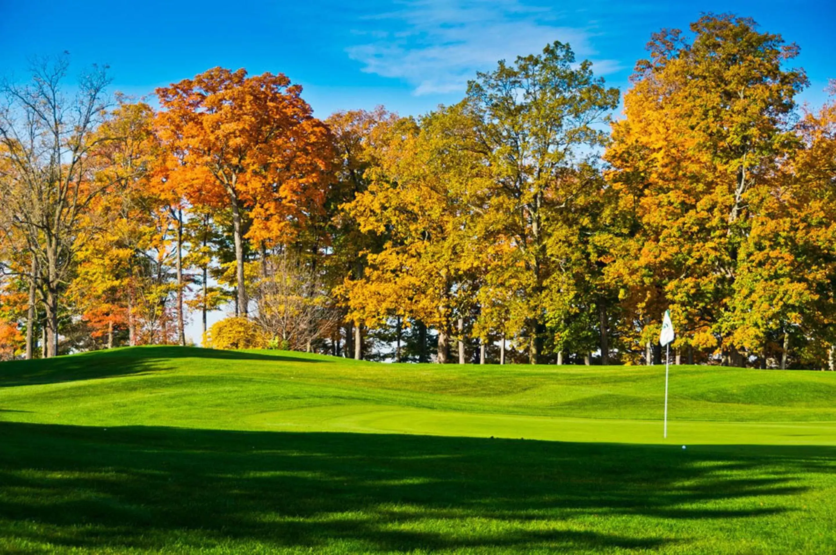 Natural landscape, Golf in Candlewood Suites East Lansing, an IHG Hotel