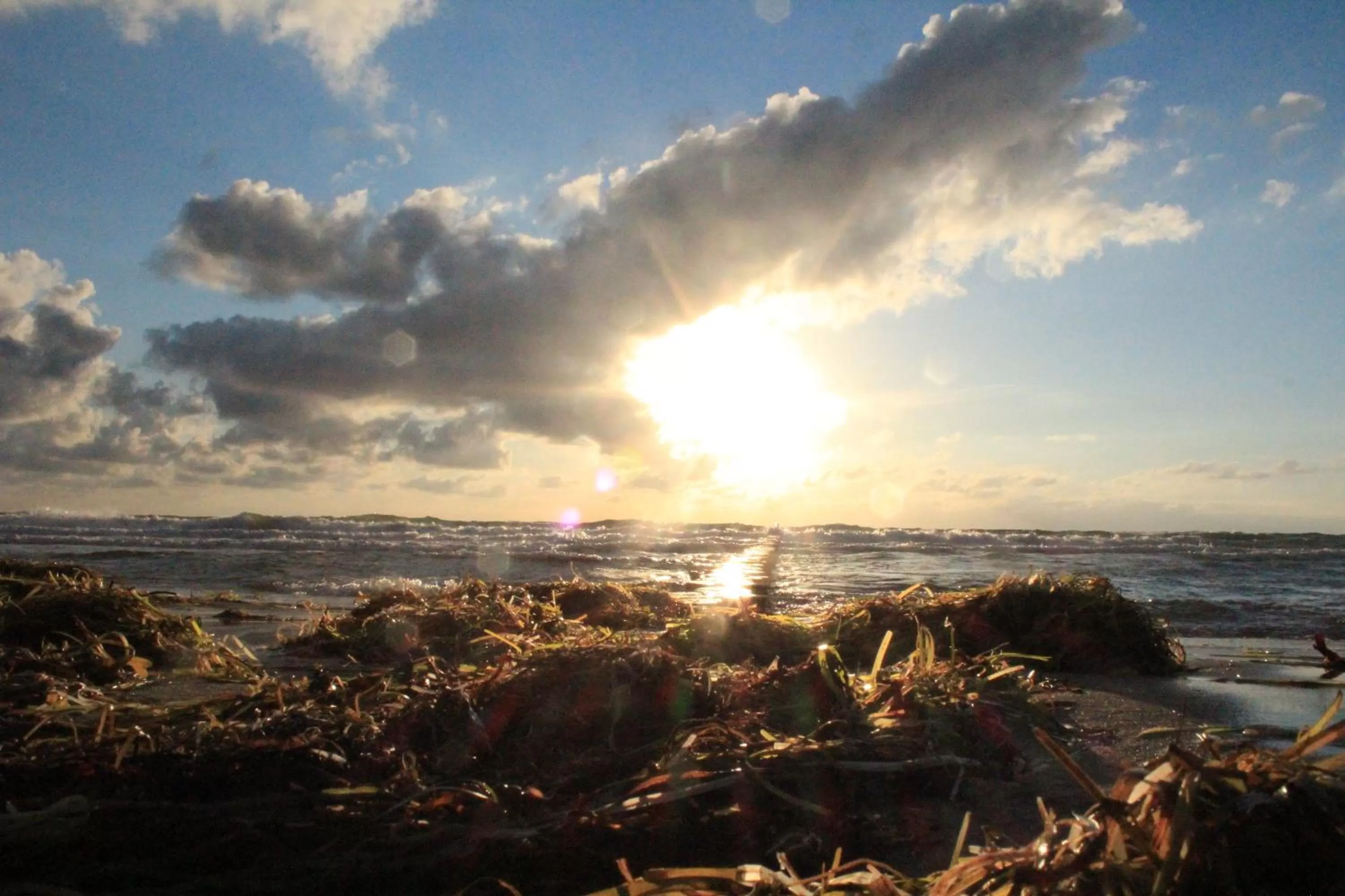 Natural landscape in Ostseehotel Dierhagen