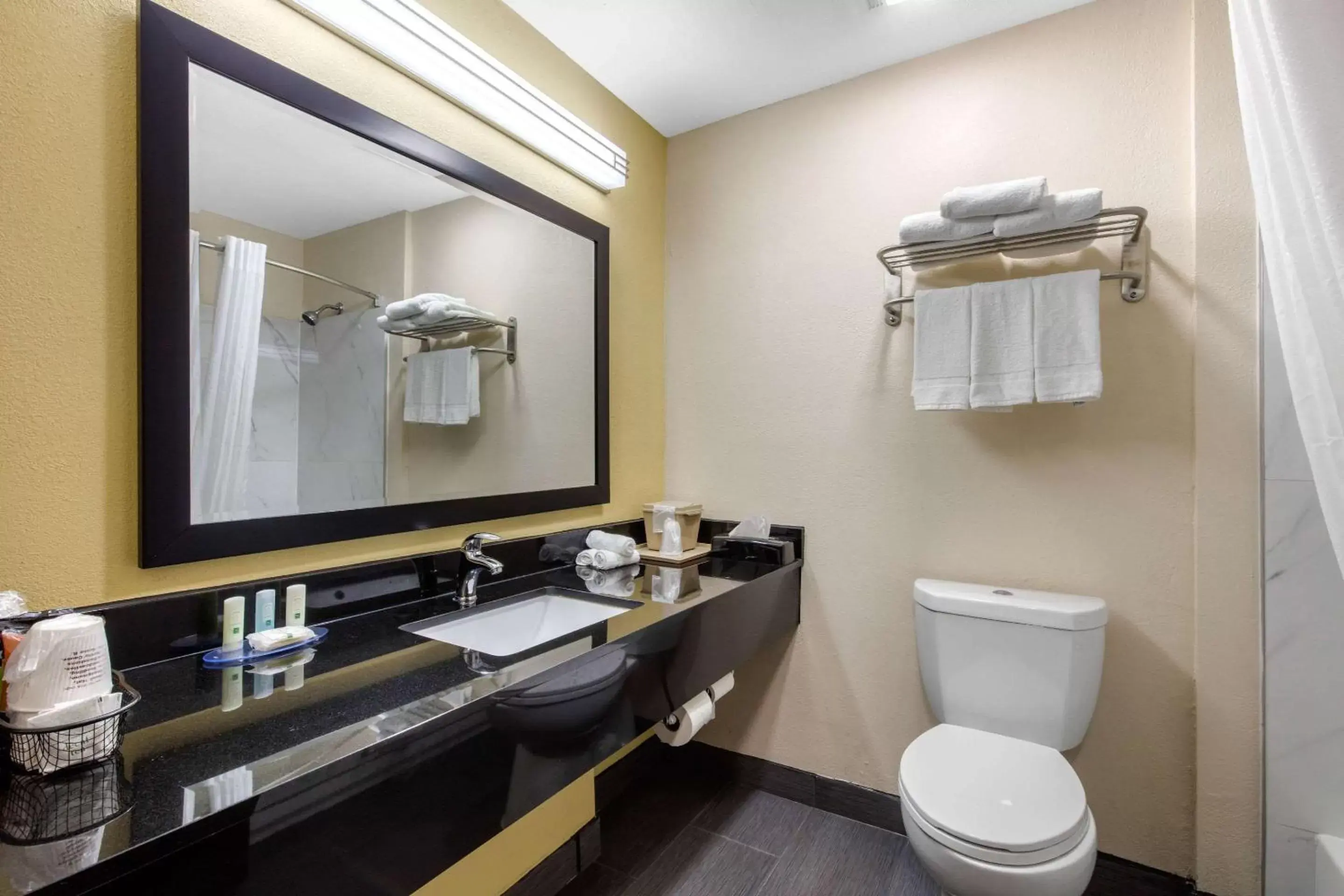 Bathroom in Quality Inn