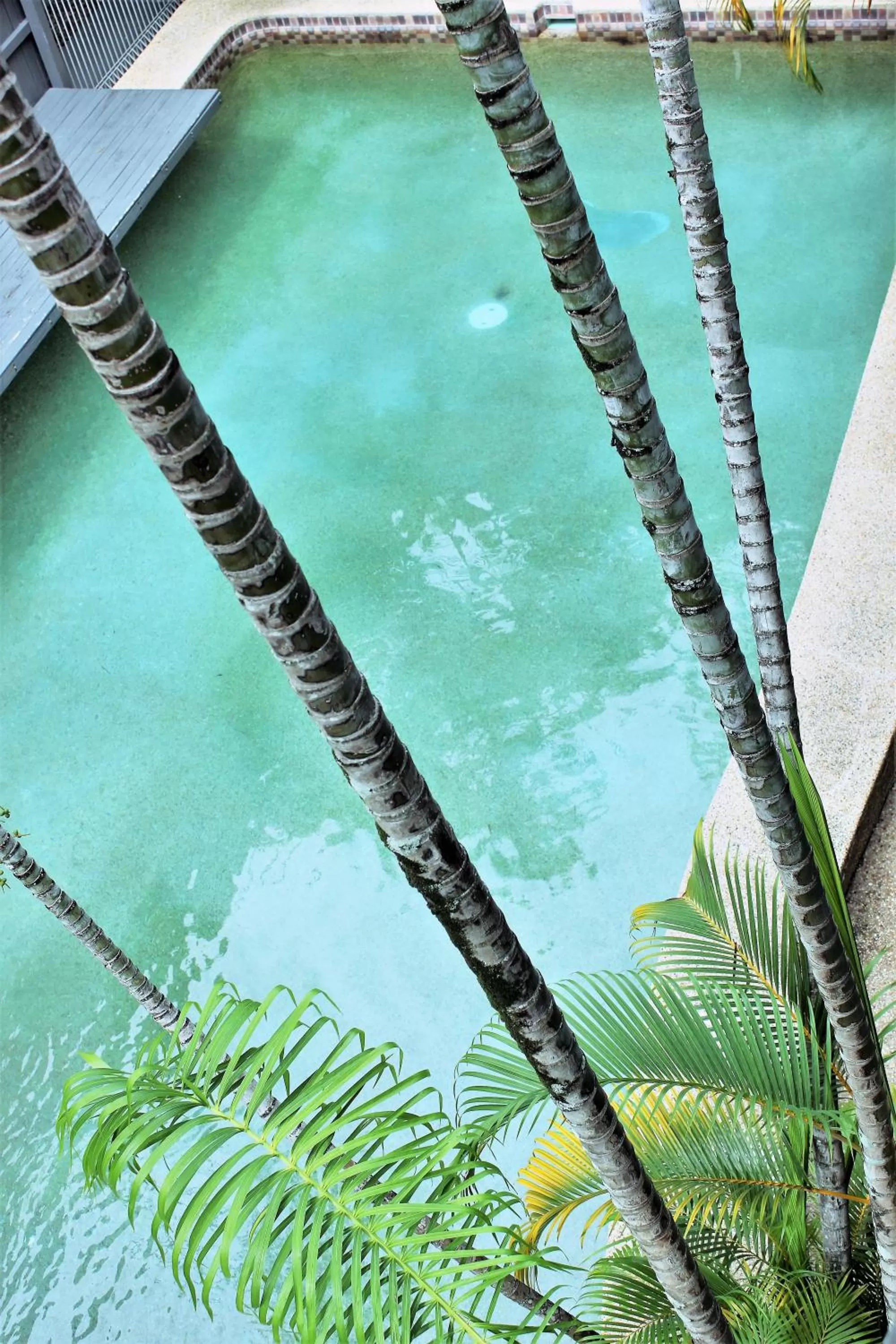 Pool view in Lake Central Cairns