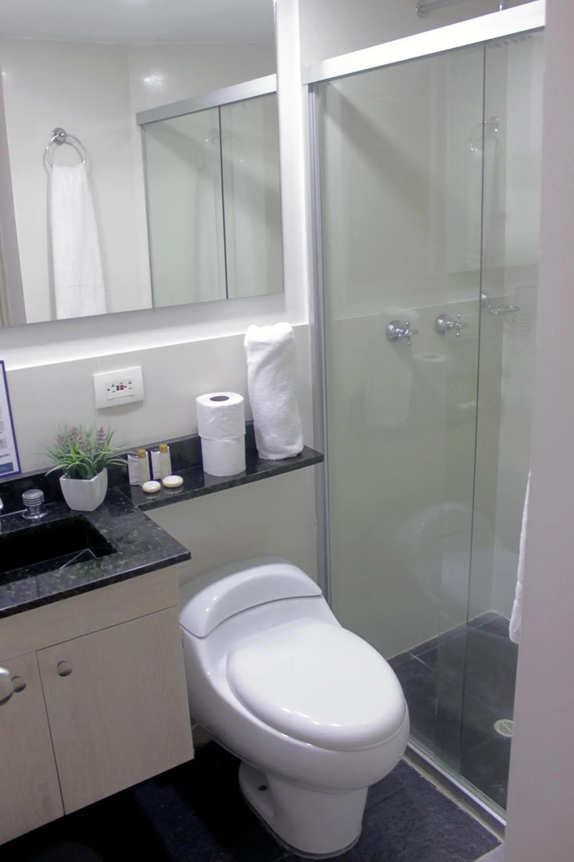 Shower, Bathroom in Hotel Suite Comfort