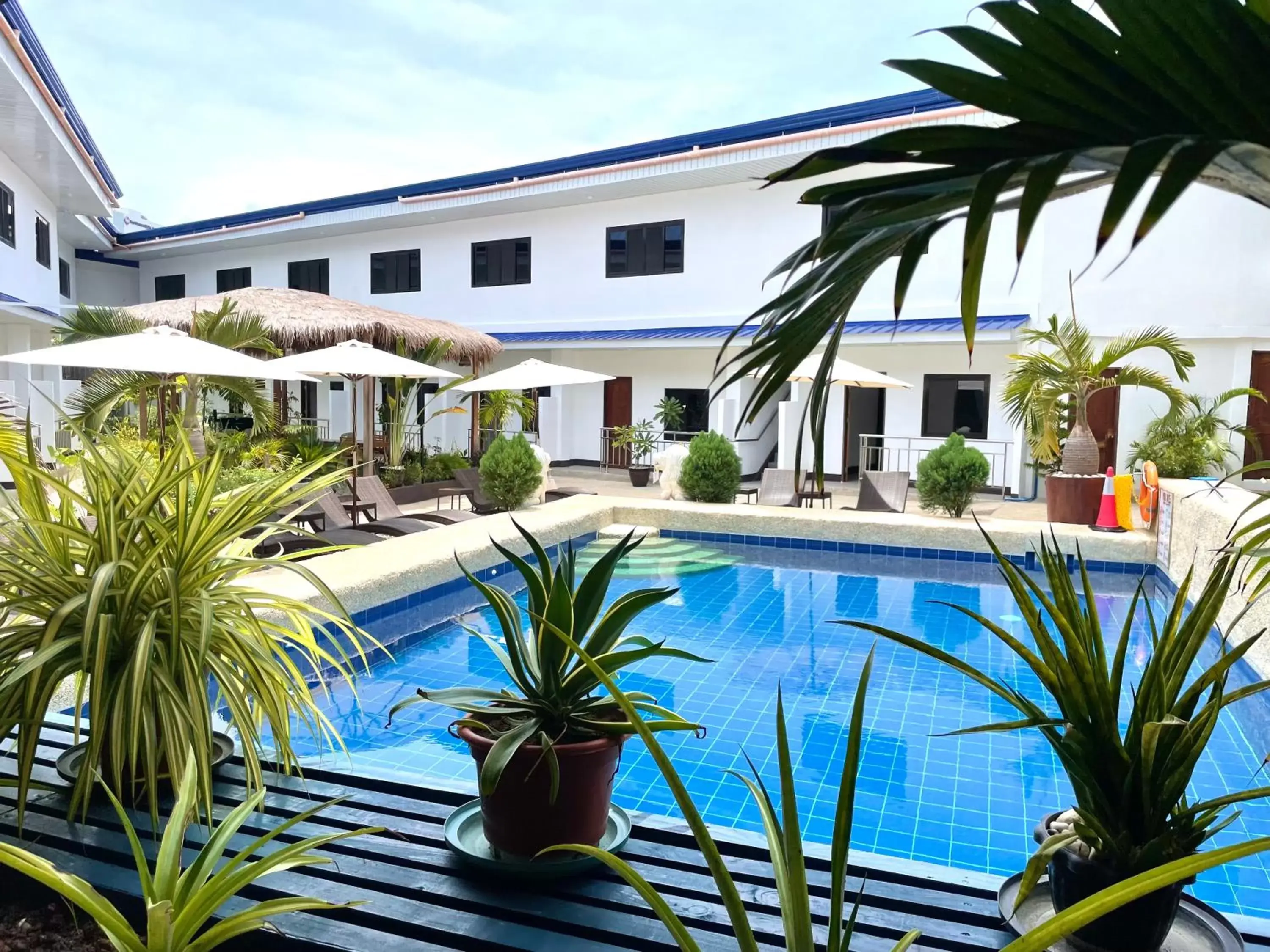 Swimming pool in MGH Alona Resort Swimming pool in MGH Alona Resort